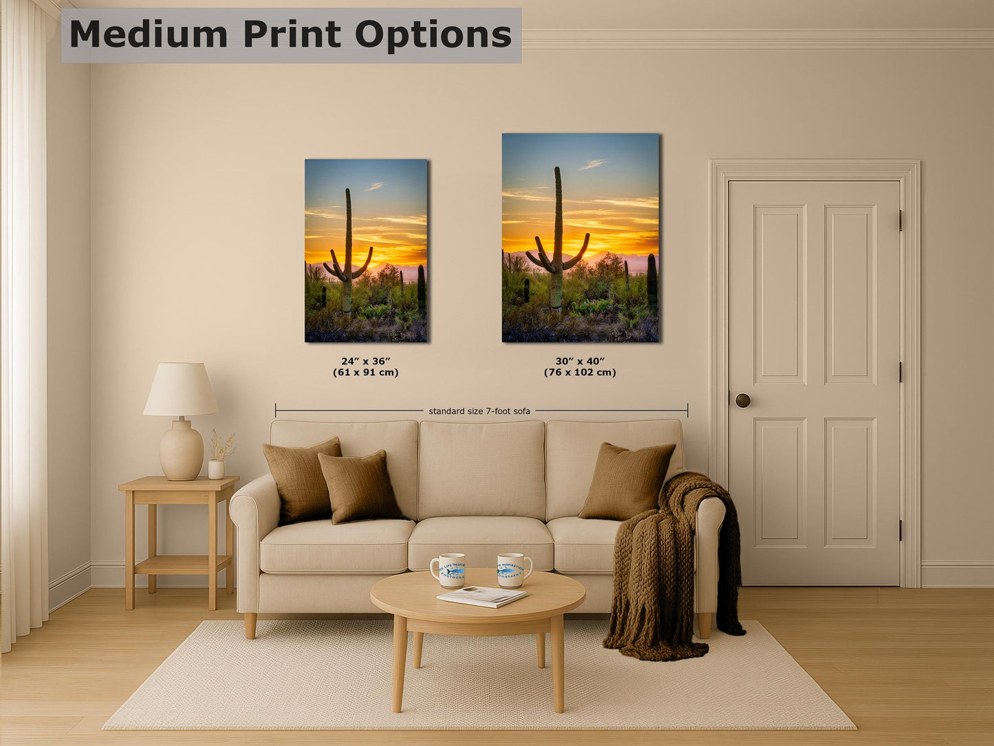 Saguaro National Park Arizona Desert Picture Nature Photo, Bohemian Style Relaxation Artwork, Southwestern Sonoran Desert House Decor