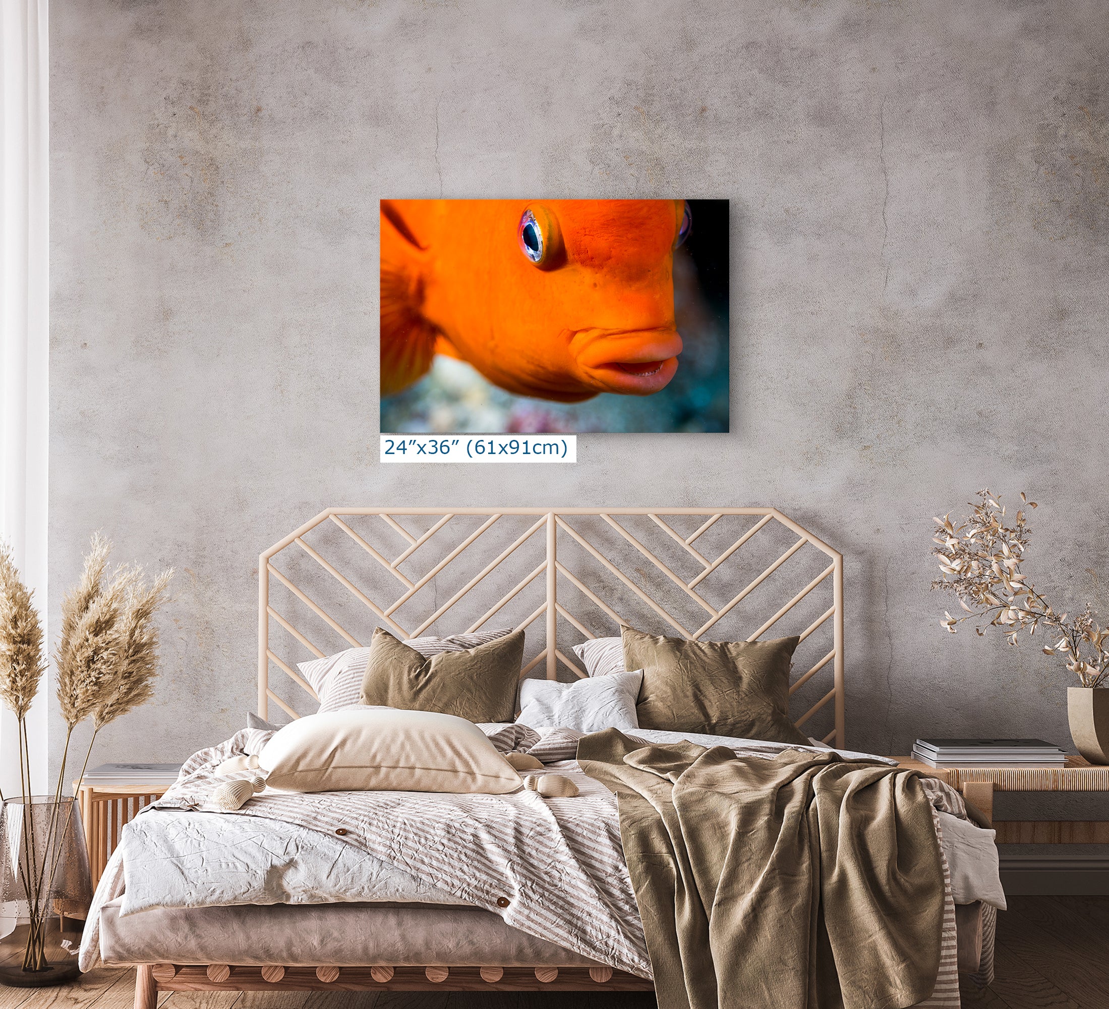 Garibaldi Fish Marine Biology Ocean Life, Underwater Scenery Nature Photo, California Marine Inhabitant, Nature Decor, Relaxation Artwork