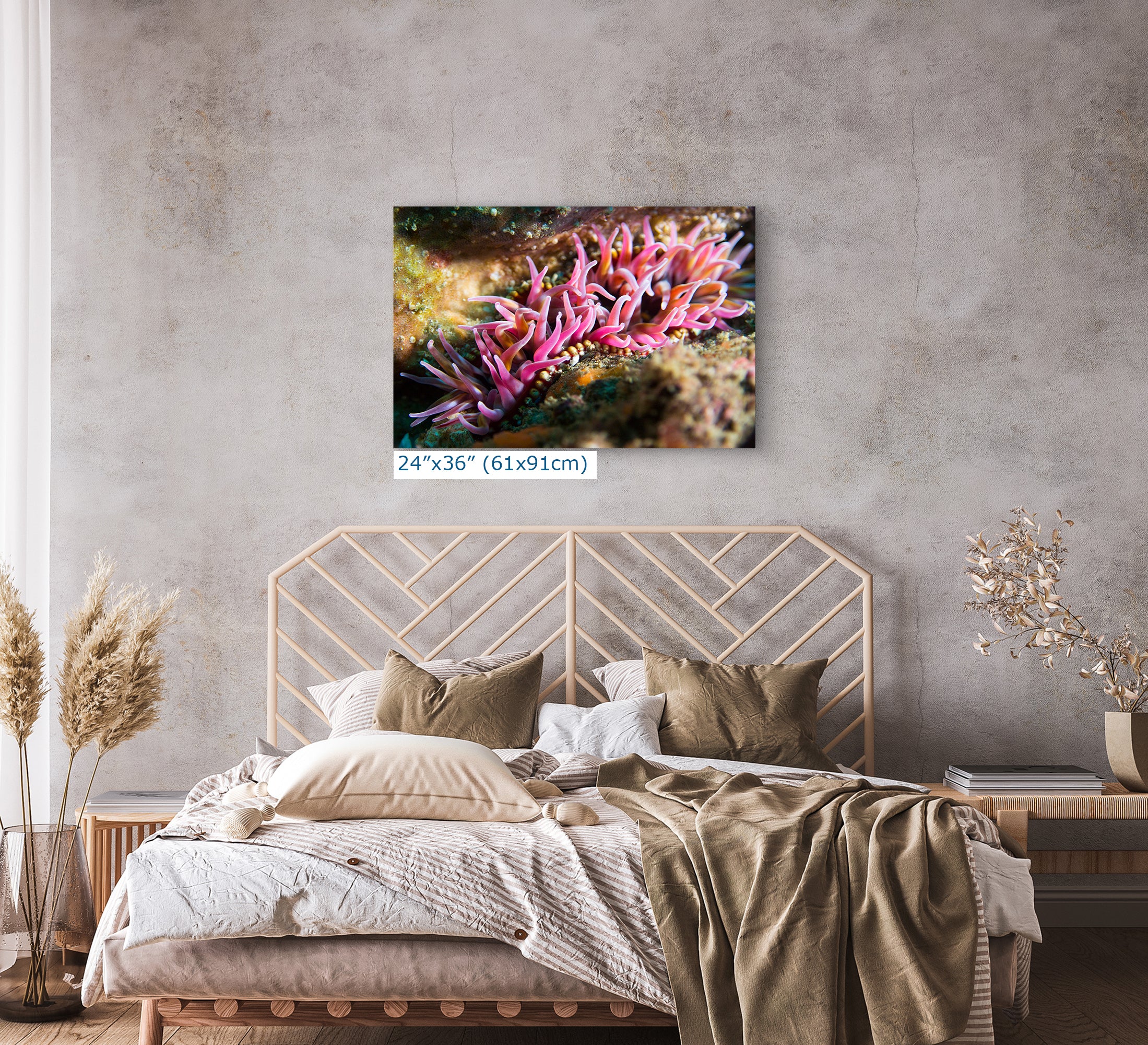 Sea Anemone Picture Ocean Life Underwater Scenery Nature Photo, Marine Biology Coral Reef Art, Vibrant Marine Wildlife Wall Decor