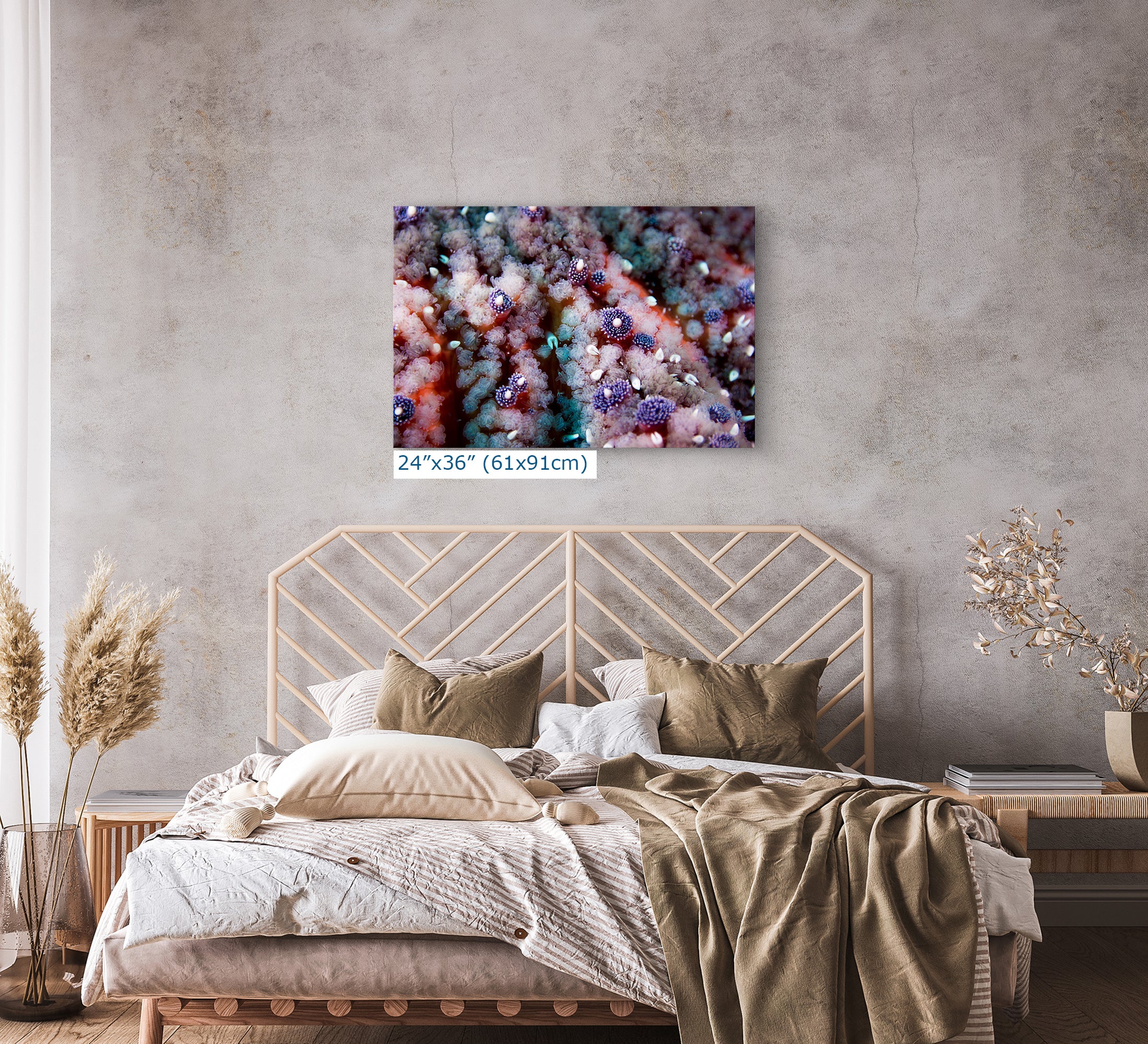 Ocean Life Starfish Photo, Marine Biology Underwater Scenery, Vibrant Coral Reef, Nature Photography for Office Decor, Relaxation Artwork