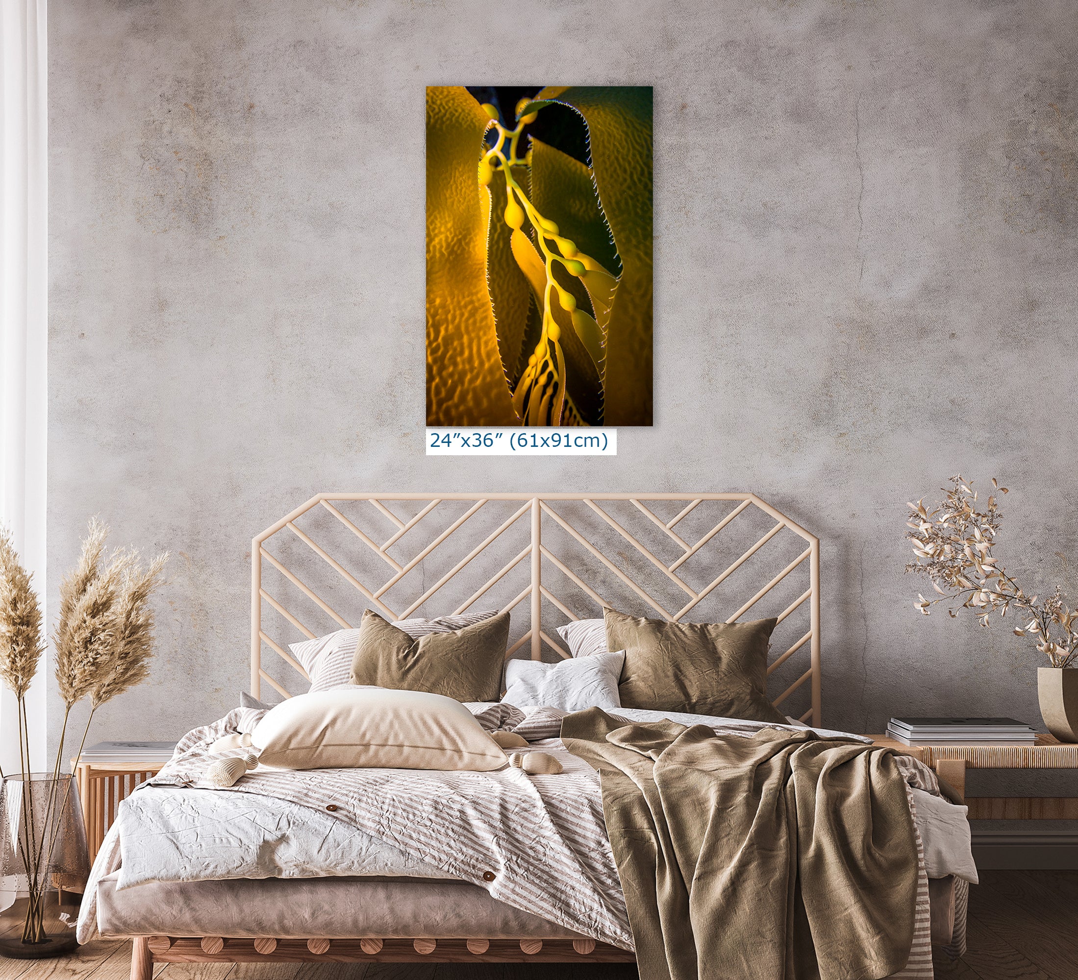 Kelp Forest Seaweed Pictures Underwater Scenery, Ocean Life Marine Life Decor, Nature Photo, Under the Sea Wall Art, Marine Biology Gift