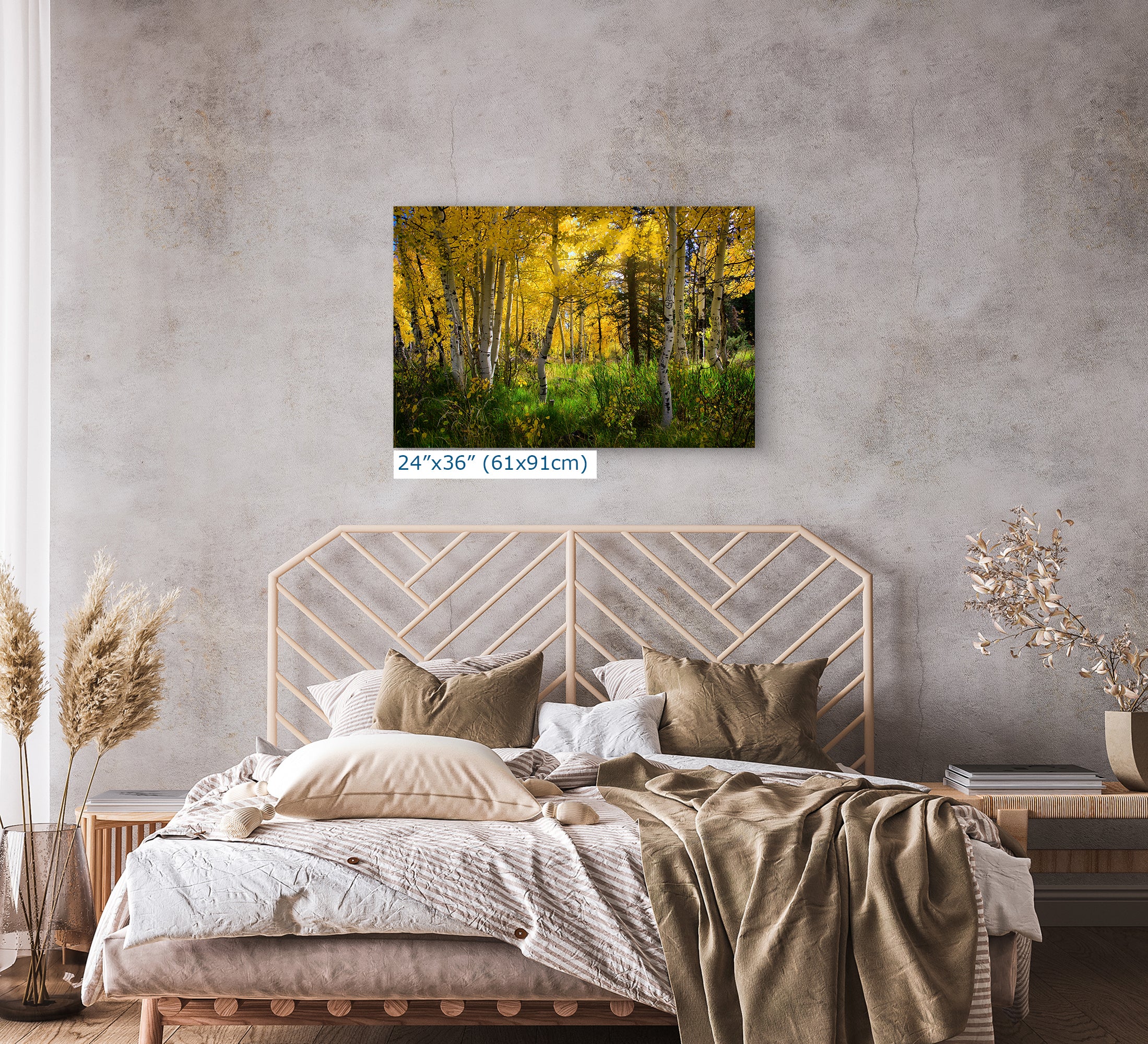 Aspen Tree Forest Picture Nature Photo, Forest Bathing Relaxation Artwork, Fall Colors Autumn for Meditation, Office and House Decor