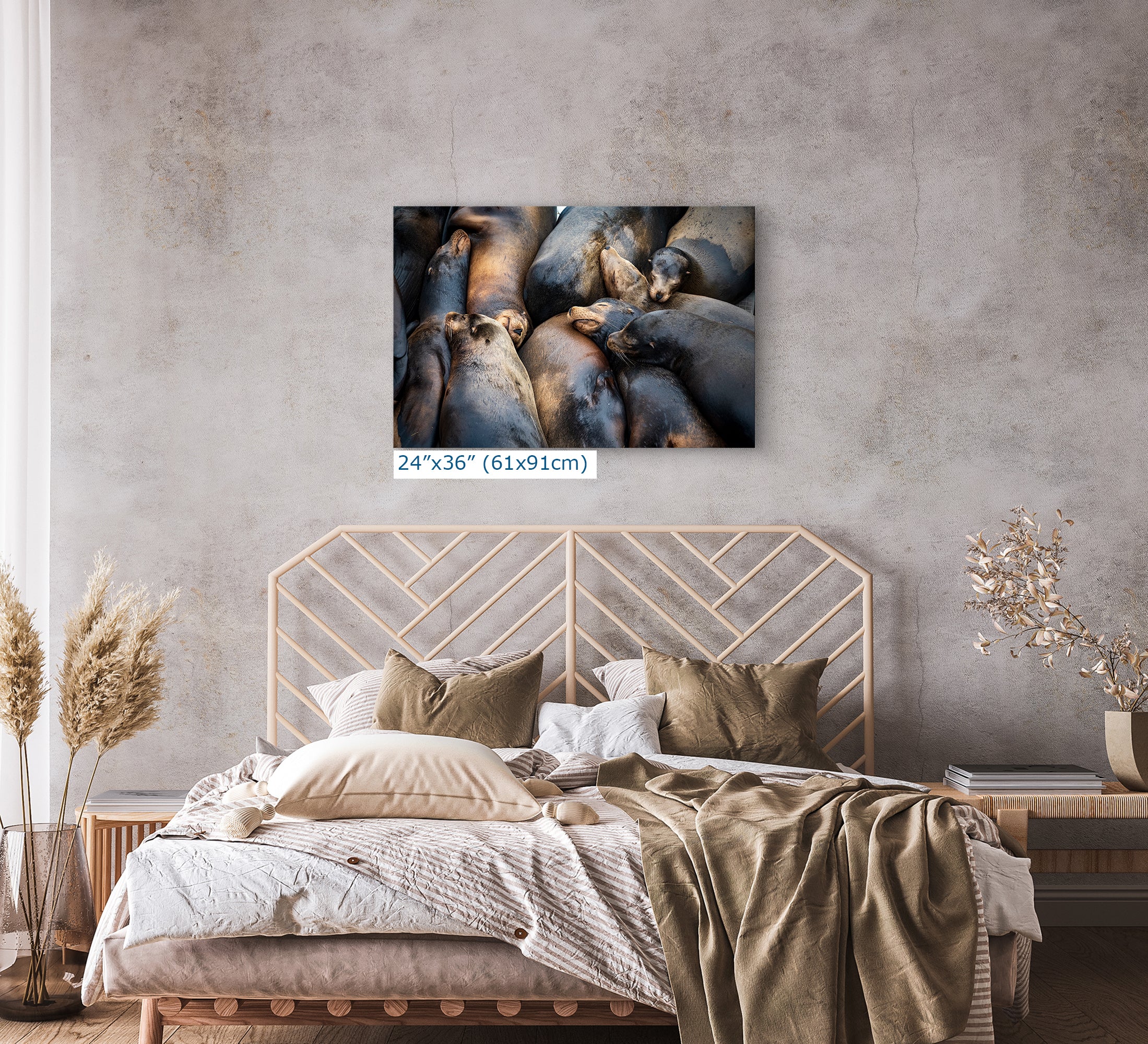 California Sea Lion Marine Mammal Wildlife Photography, Ocean Animals Nursery Decor, Relaxation Artwork for Beach-Themed Rooms