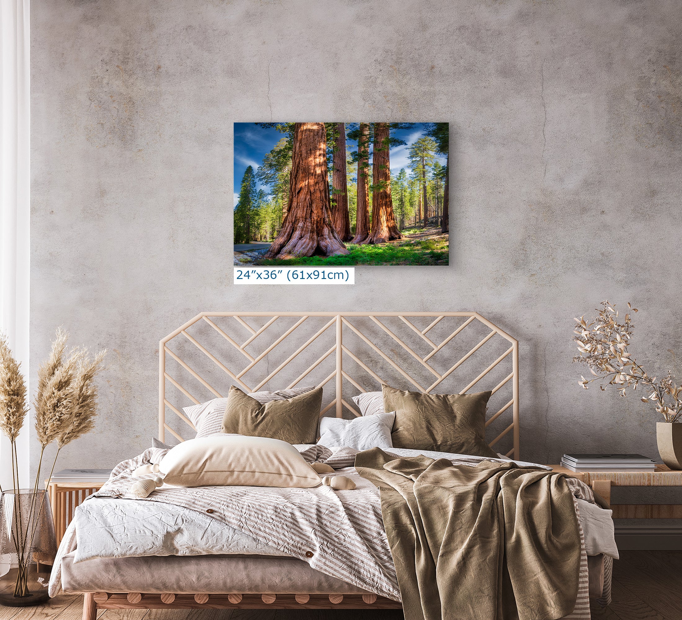Giant Sequoia Tree Forest Picture Nature Photo, Redwood Trees Forest Bathing for Relaxation and Meditation in Living Room and Office