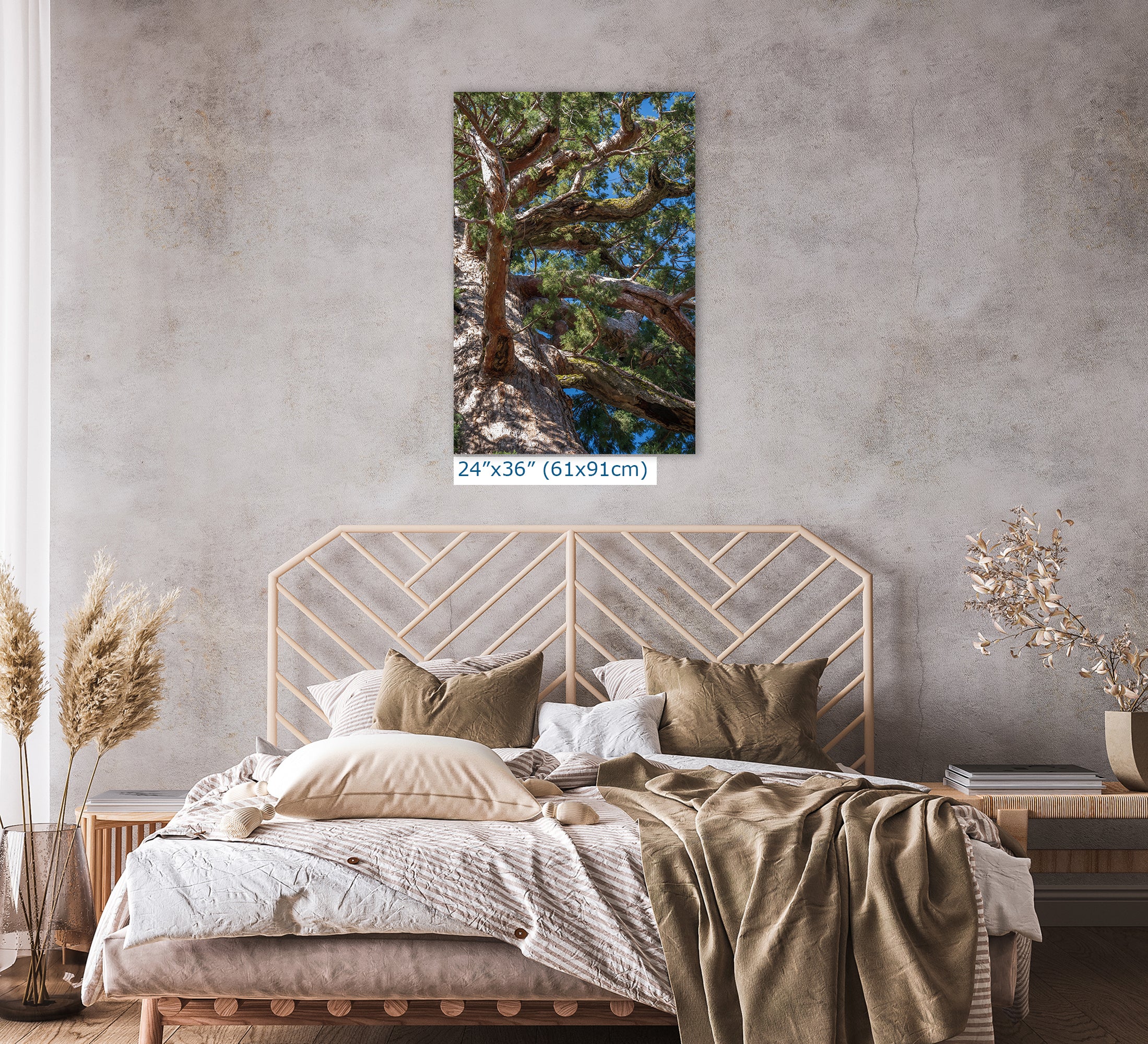 Giant Sequoia Tree Forest Picture Nature Photo, Yosemite Mariposa Grove Redwood Trees, Forest Bathing Relaxation Artwork for Nature Lovers
