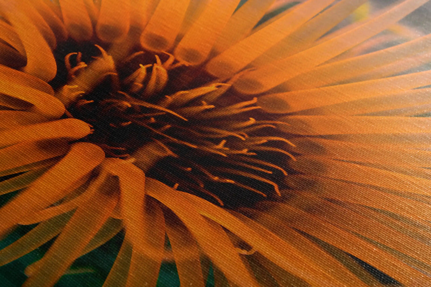 Sea Anemone Picture Ocean Life Underwater Scenery Nature Photo, Marine Biology Wall Art, Vibrant Coral Reef, Gift for Ocean Lover