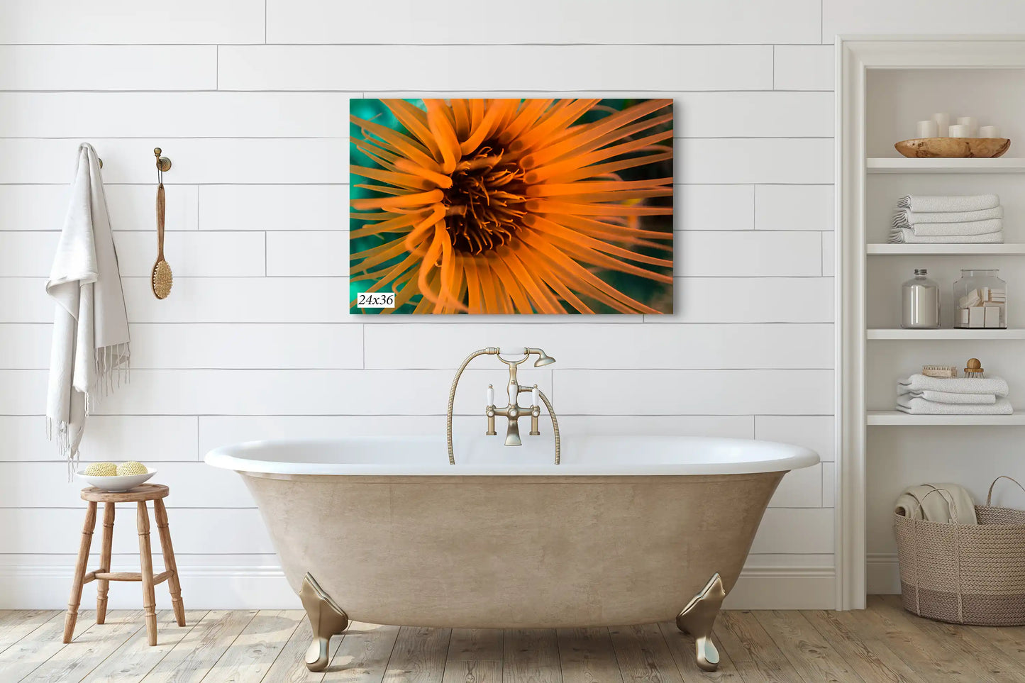 Sea Anemone Picture Ocean Life Underwater Scenery Nature Photo, Marine Biology Wall Art, Vibrant Coral Reef, Gift for Ocean Lover