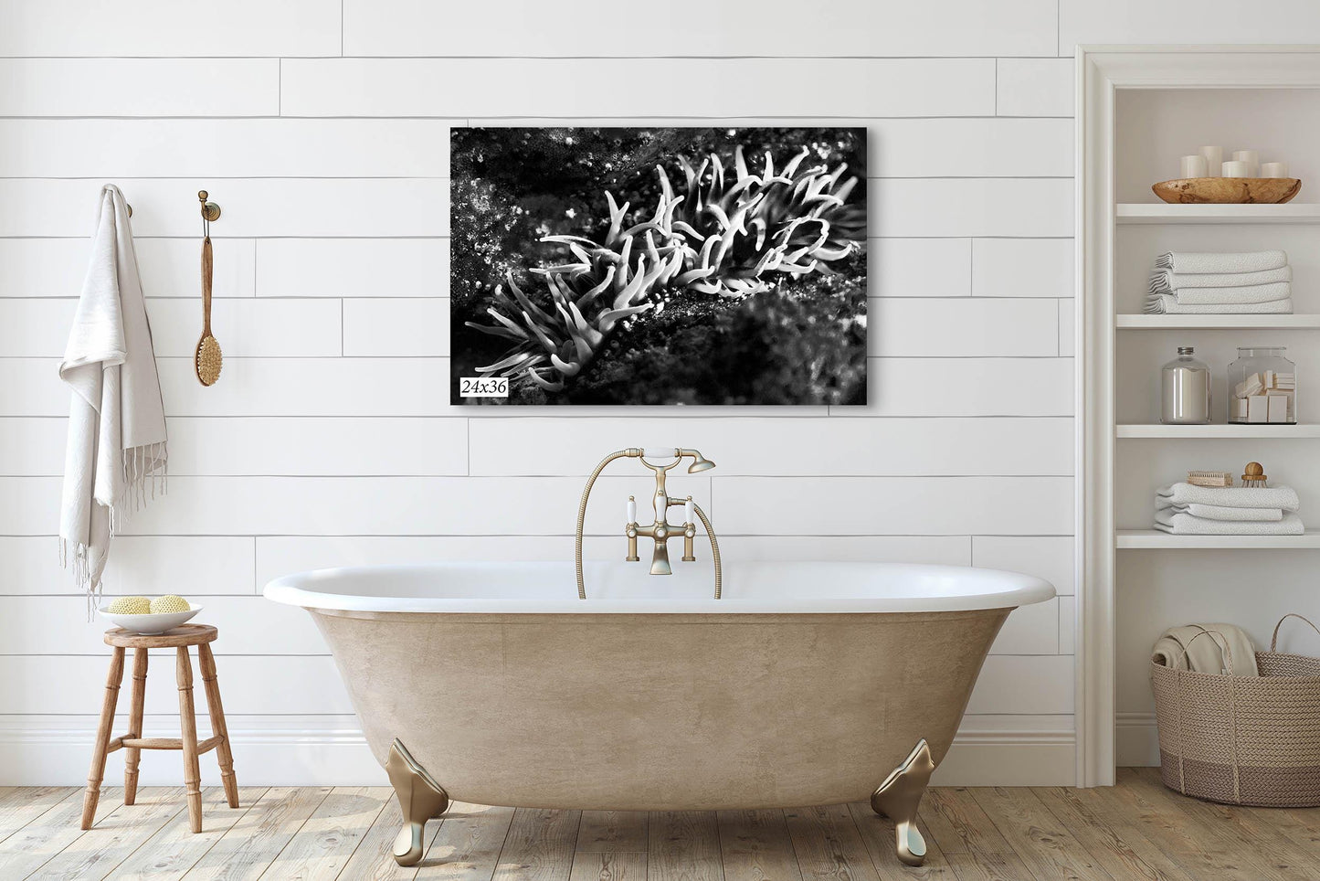 Sea Anemone Picture Ocean Life Underwater Scenery Nature Photo, Marine Biology Decor, Black and White Coral Reef Art for Marine Enthusiasts