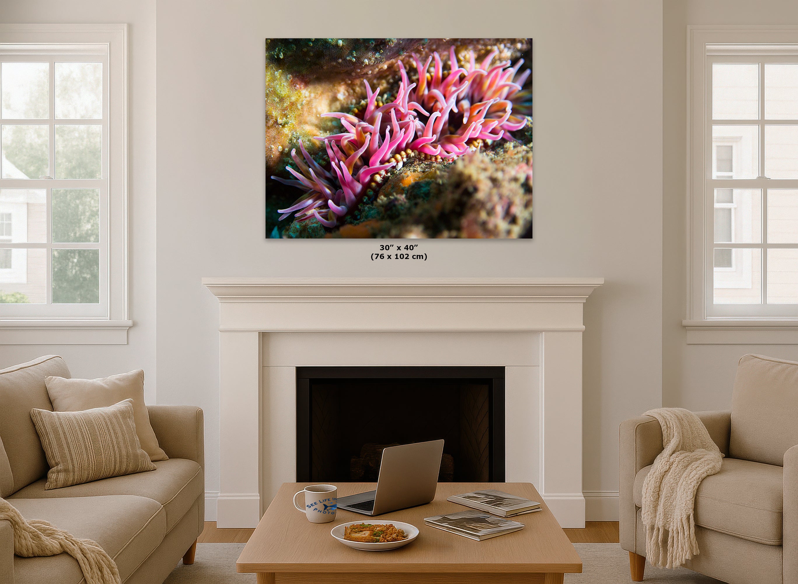 Sea Anemone Picture Ocean Life Underwater Scenery Nature Photo, Marine Biology Coral Reef Art, Vibrant Marine Wildlife Wall Decor