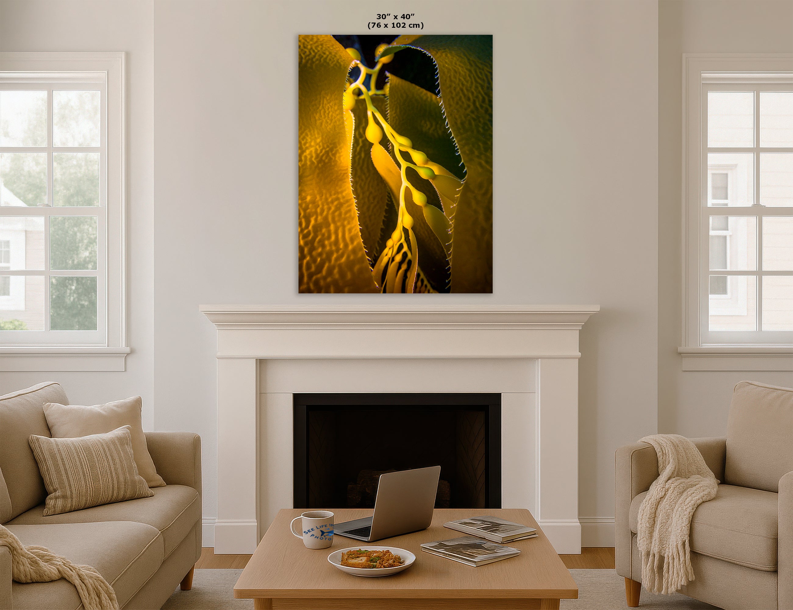 Kelp Forest Seaweed Pictures Underwater Scenery, Ocean Life Marine Life Decor, Nature Photo, Under the Sea Wall Art, Marine Biology Gift