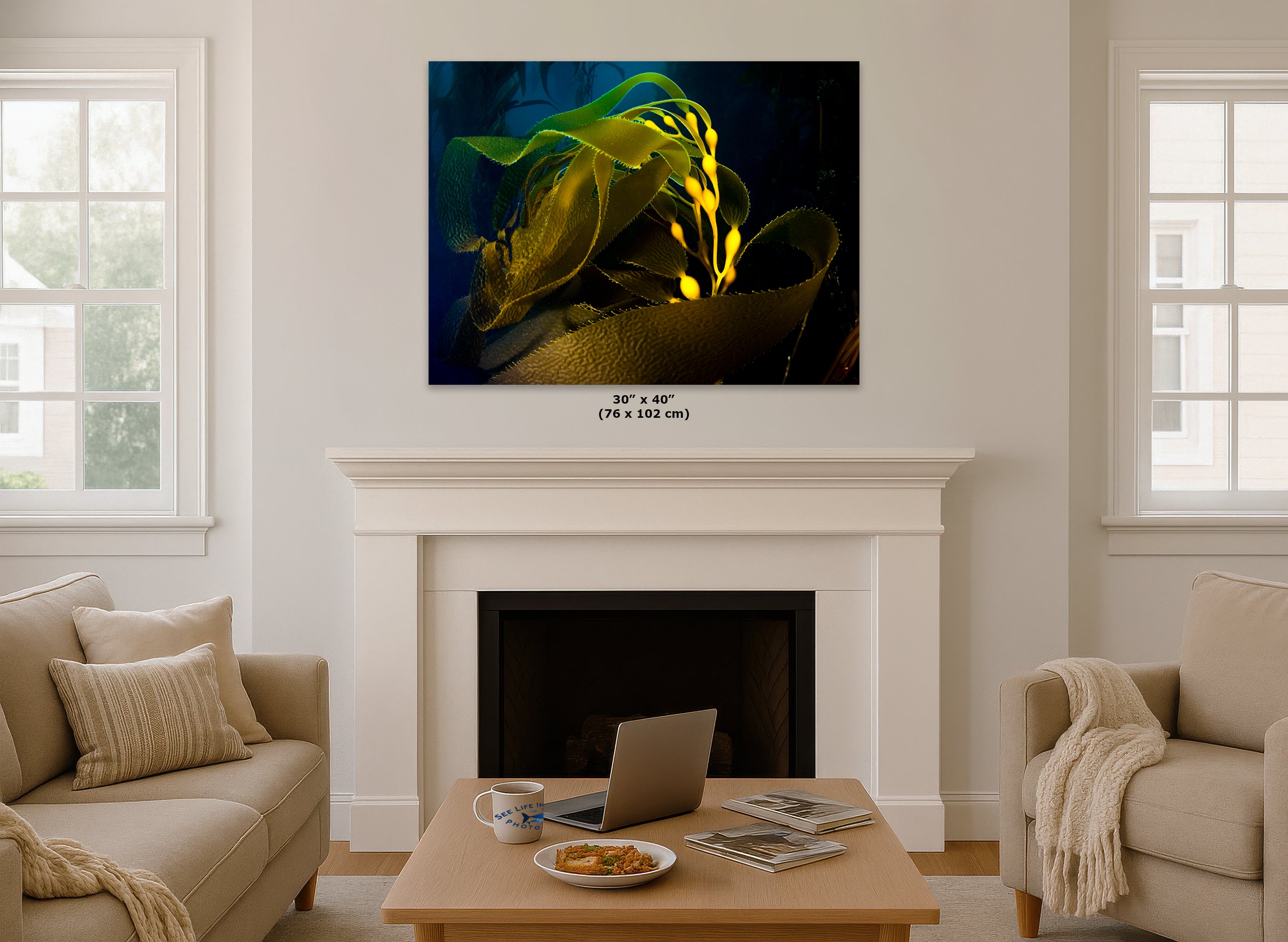 Kelp forest seaweed pictures underwater scenery, ocean life marine biology art, relaxation decor, ocean lover gift, deep sea nature photo