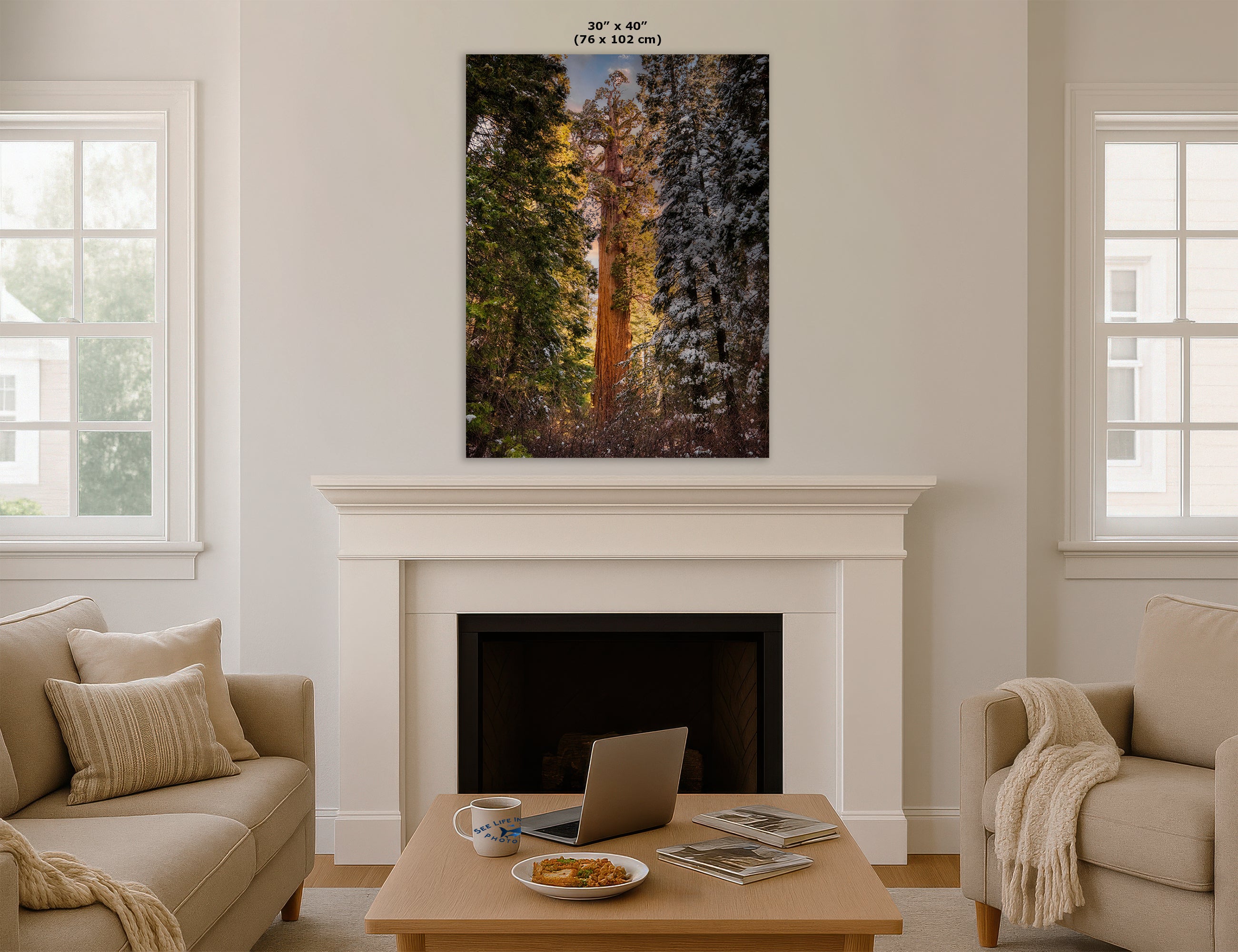 Giant Sequoia Tree Forest Picture Nature Photo, Redwood Tree Wall Art, Forest Bathing Decor, Bohemian Style Relaxation Artwork