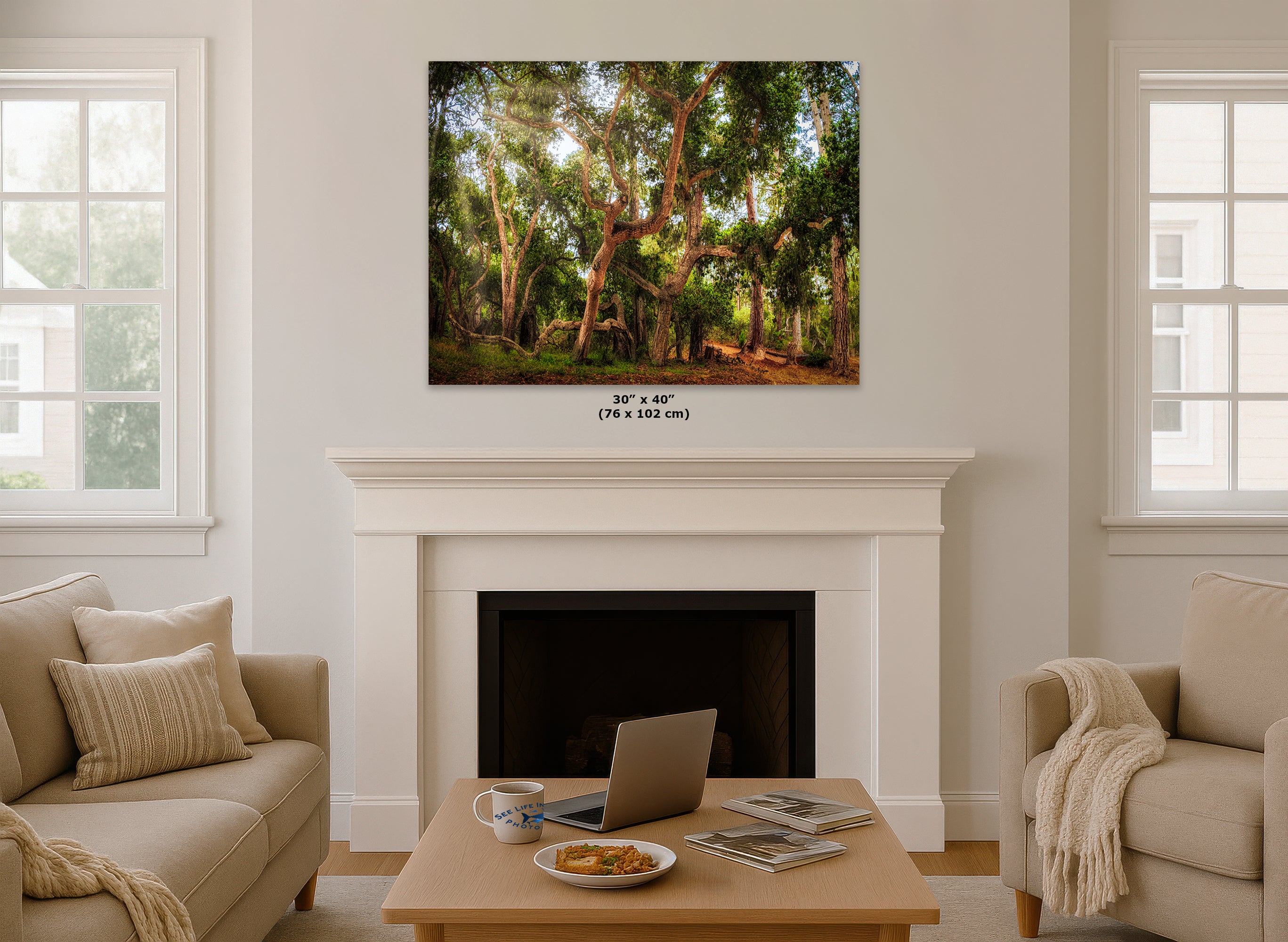 Coast Live Oak Forest Picture Nature Photo House Decor, Forest Bathing for Meditation, Relaxation, Dorm Room Decor