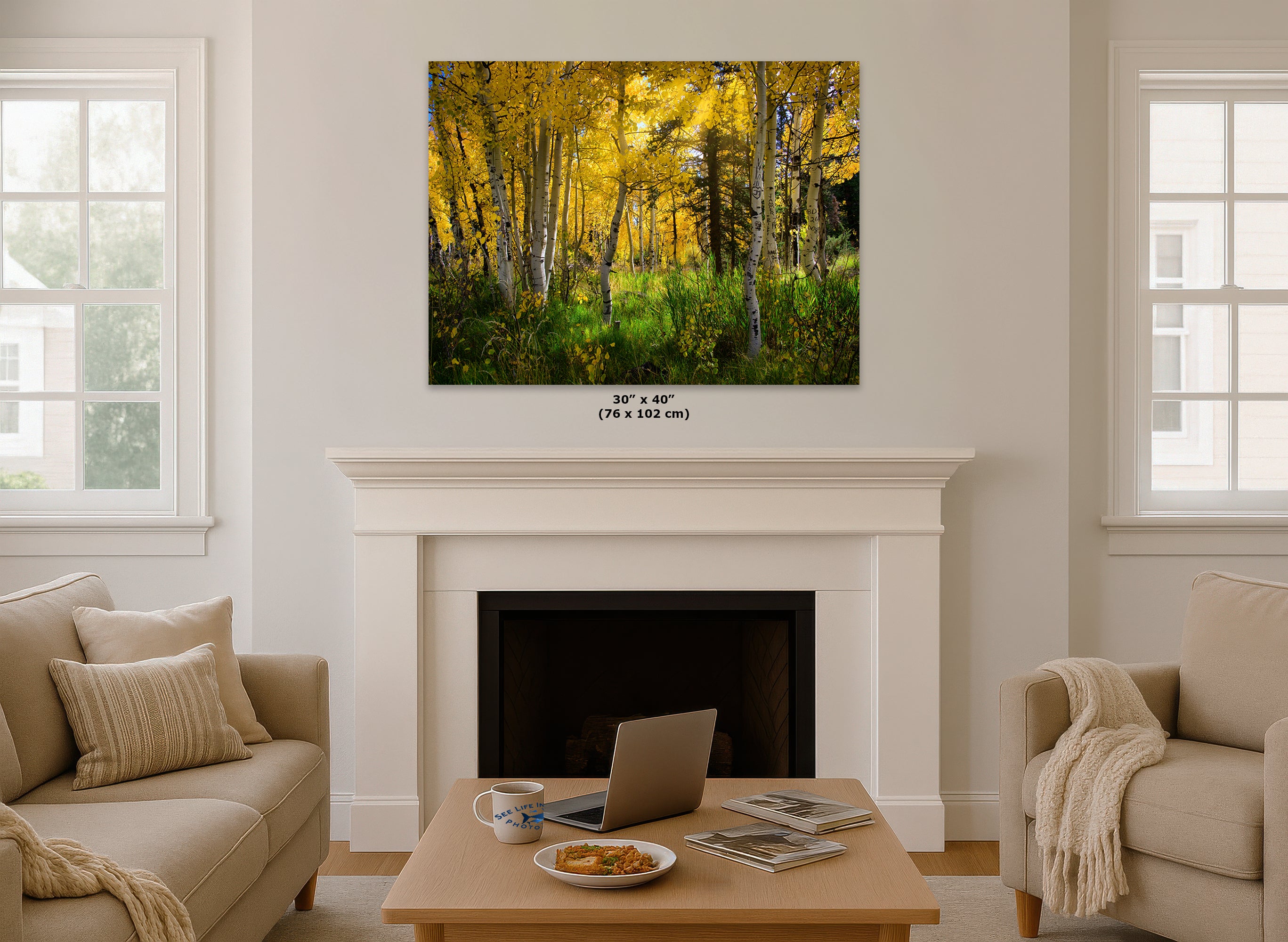 Aspen Tree Forest Picture Nature Photo, Forest Bathing Relaxation Artwork, Fall Colors Autumn for Meditation, Office and House Decor