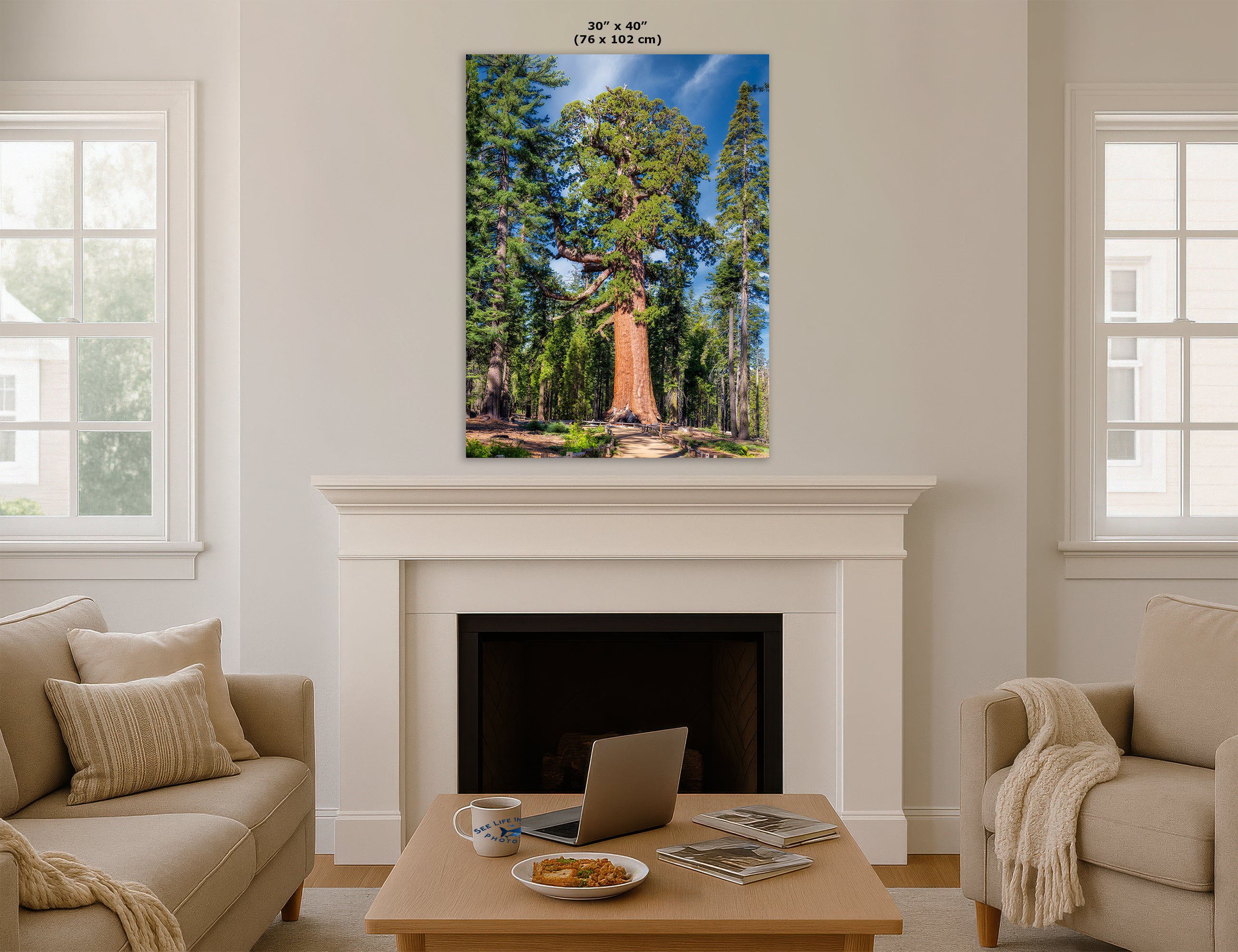 Giant Sequoia Tree Forest Picture Nature Photo, Yosemite Redwood Trees, Forest Bathing for Nature Lovers, House and Office