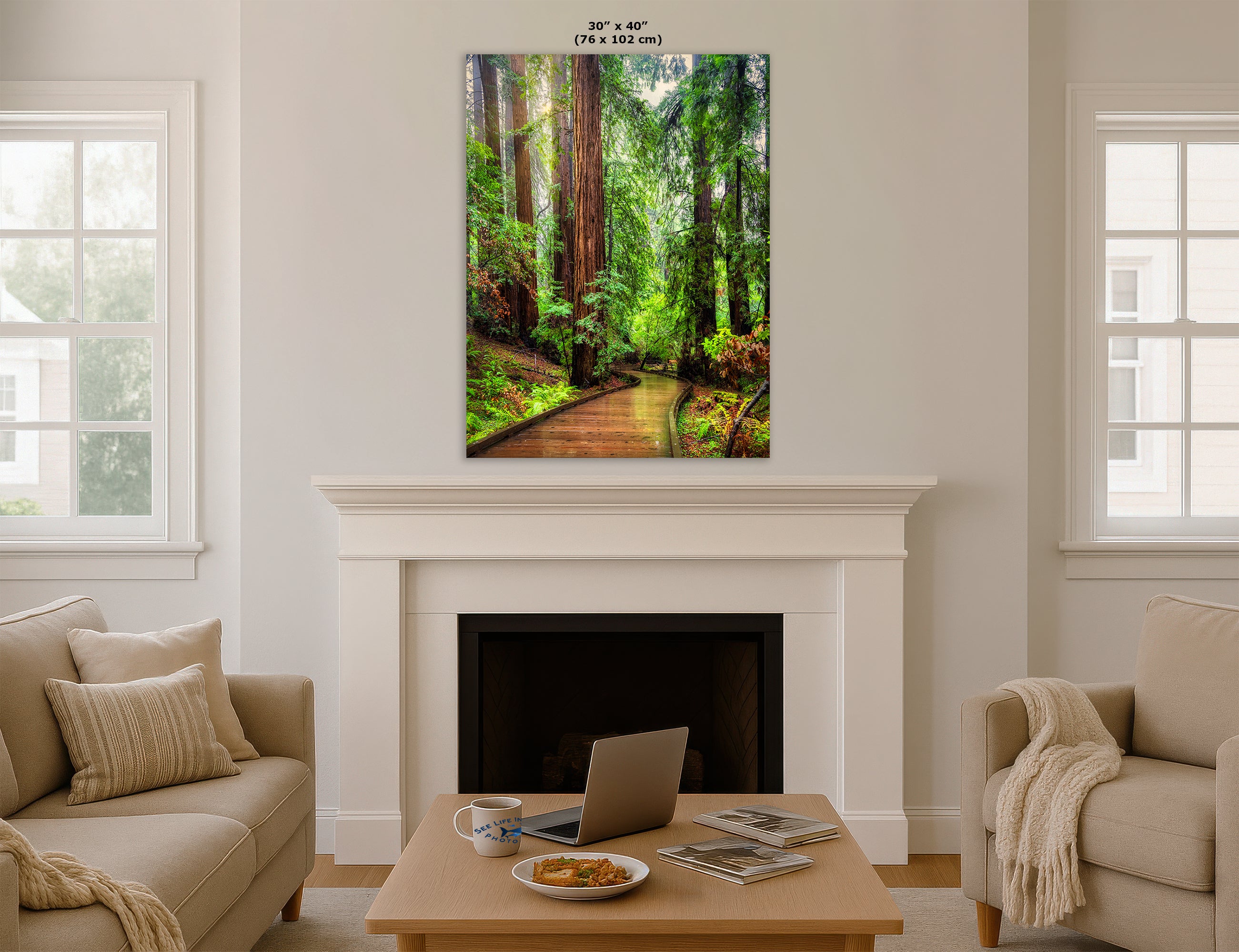 Redwood Trees Forest Picture Sunrise Nature Photo, Forest Bathing House Decor, Relaxing Wall Art for Meditation, Home and Office