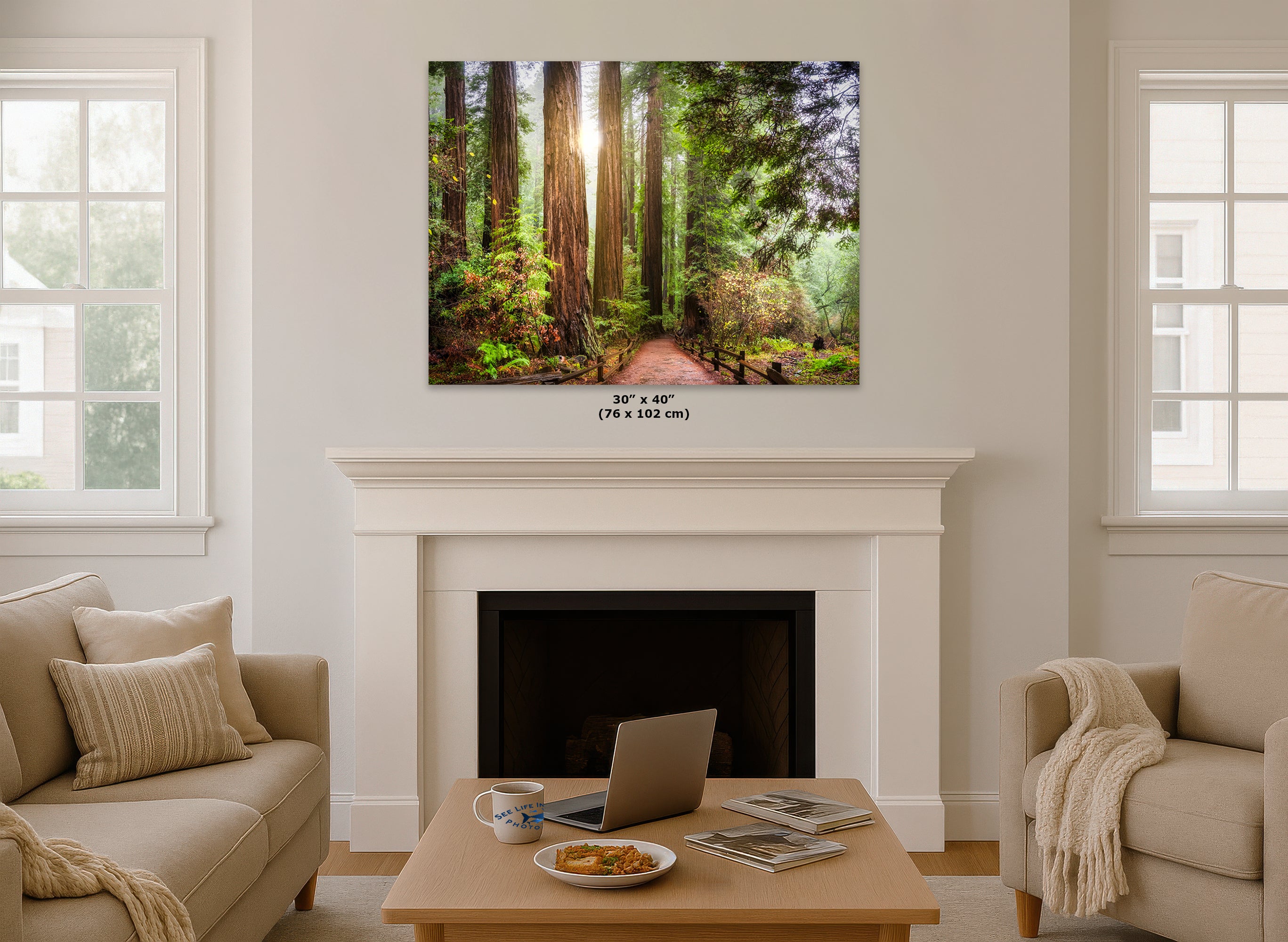 Redwood Trees Forest Picture Sunrise Nature Photo