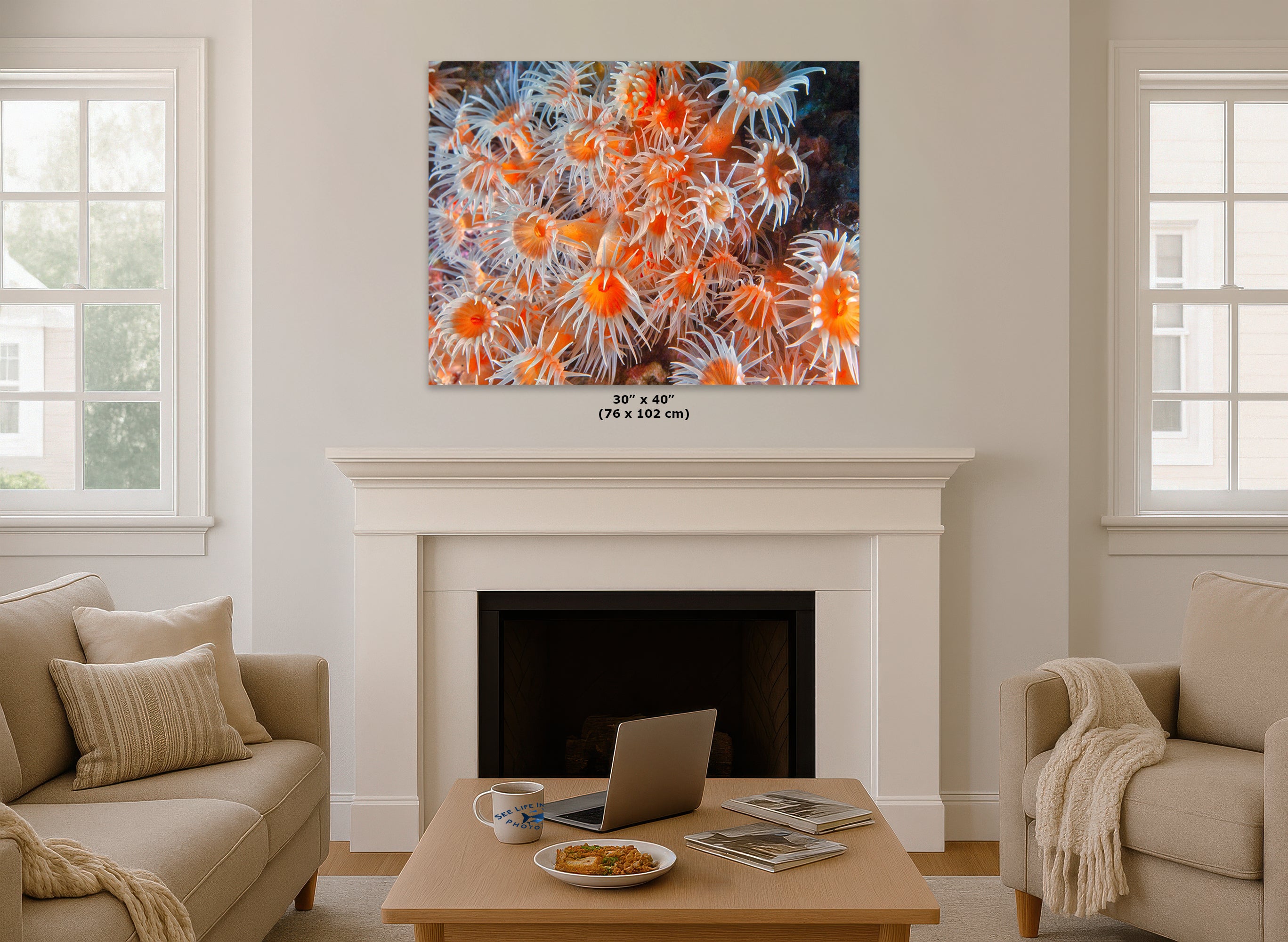 Sea Anemone Picture Ocean Life Underwater Scenery Nature Photo, Vibrant Coral Reef Wall Art, Marine Biology Gift for Ocean Lover