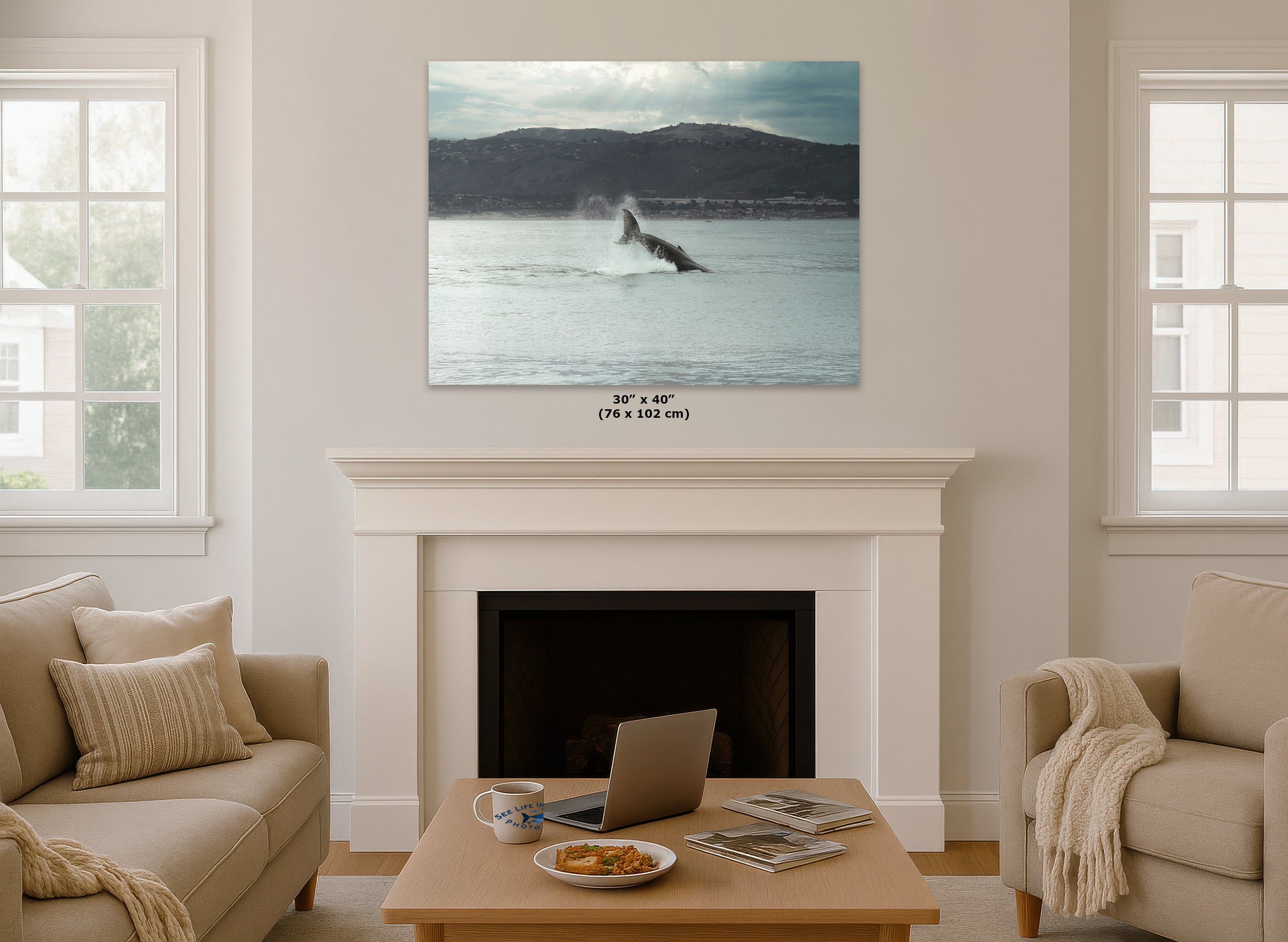 Humpback Whale Marine Mammal Wildlife Photography, Ocean Nature Art, Marine Conservation, Dolphin & Sea Life Gift, House Decor