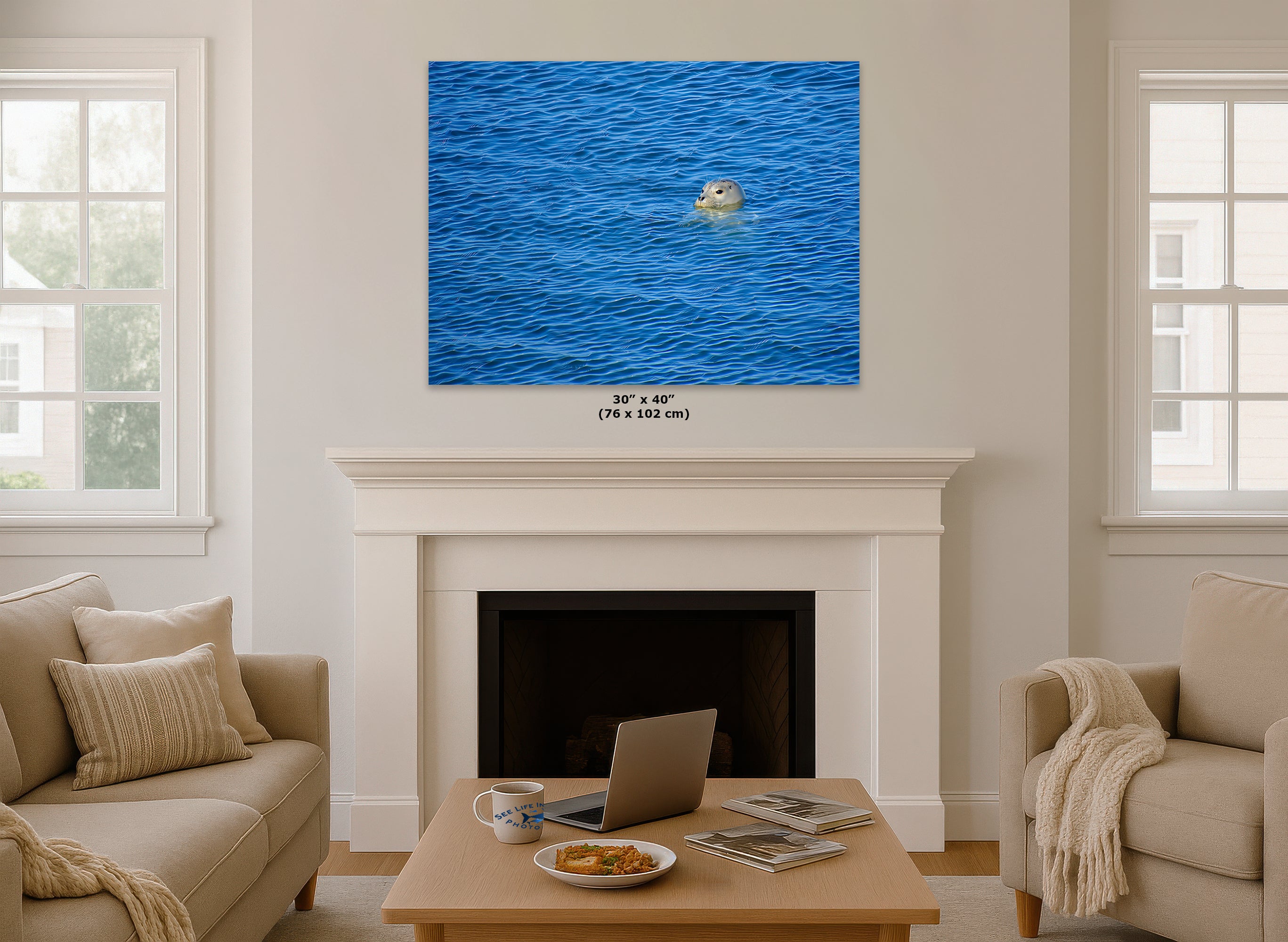 Seal Print Marine Mammal Wildlife Photography, Ocean Picture Relaxation Artwork Nature Photo