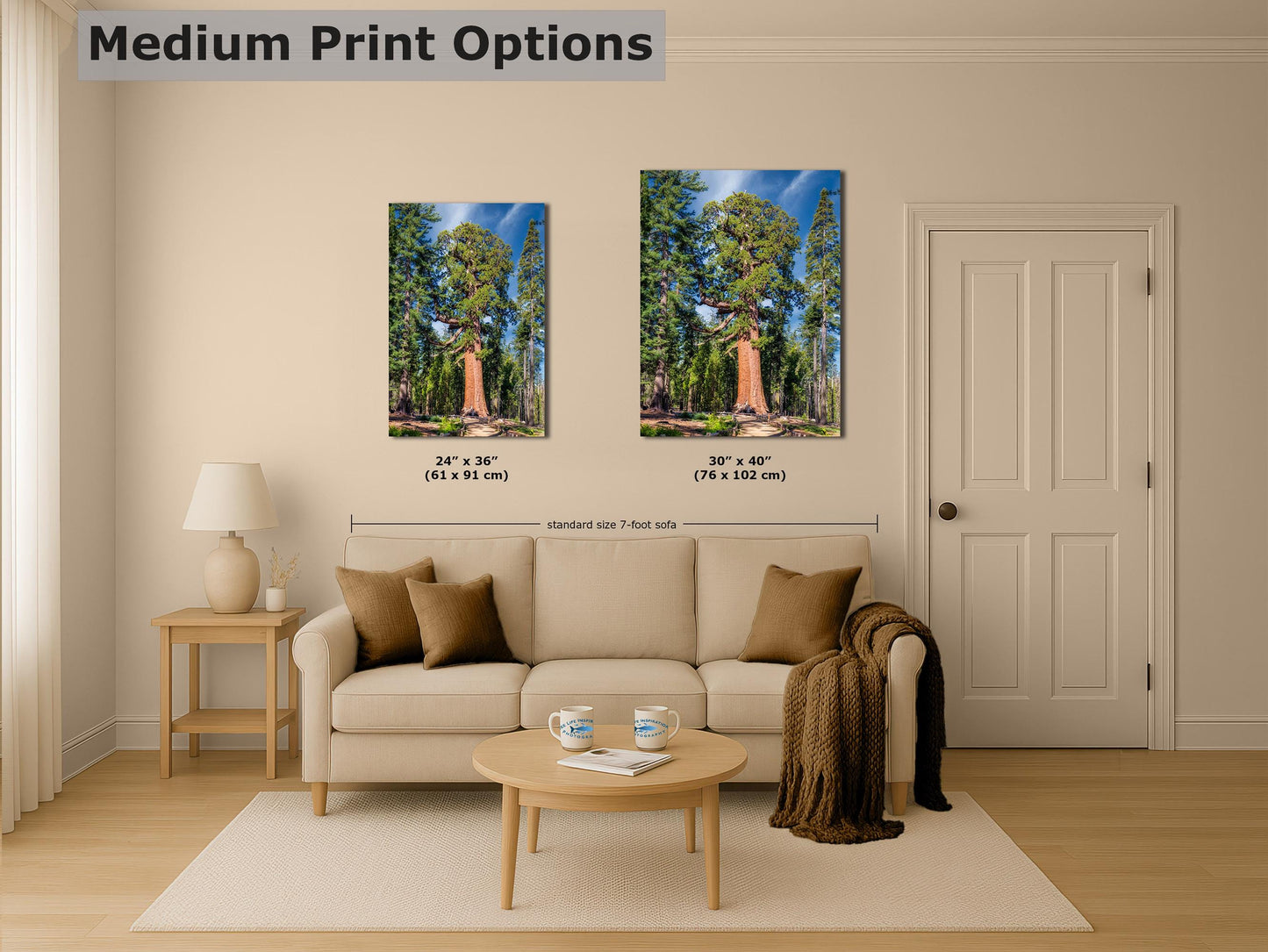 Giant Sequoia Tree Forest Picture Nature Photo, Yosemite Redwood Trees, Forest Bathing for Nature Lovers, House and Office