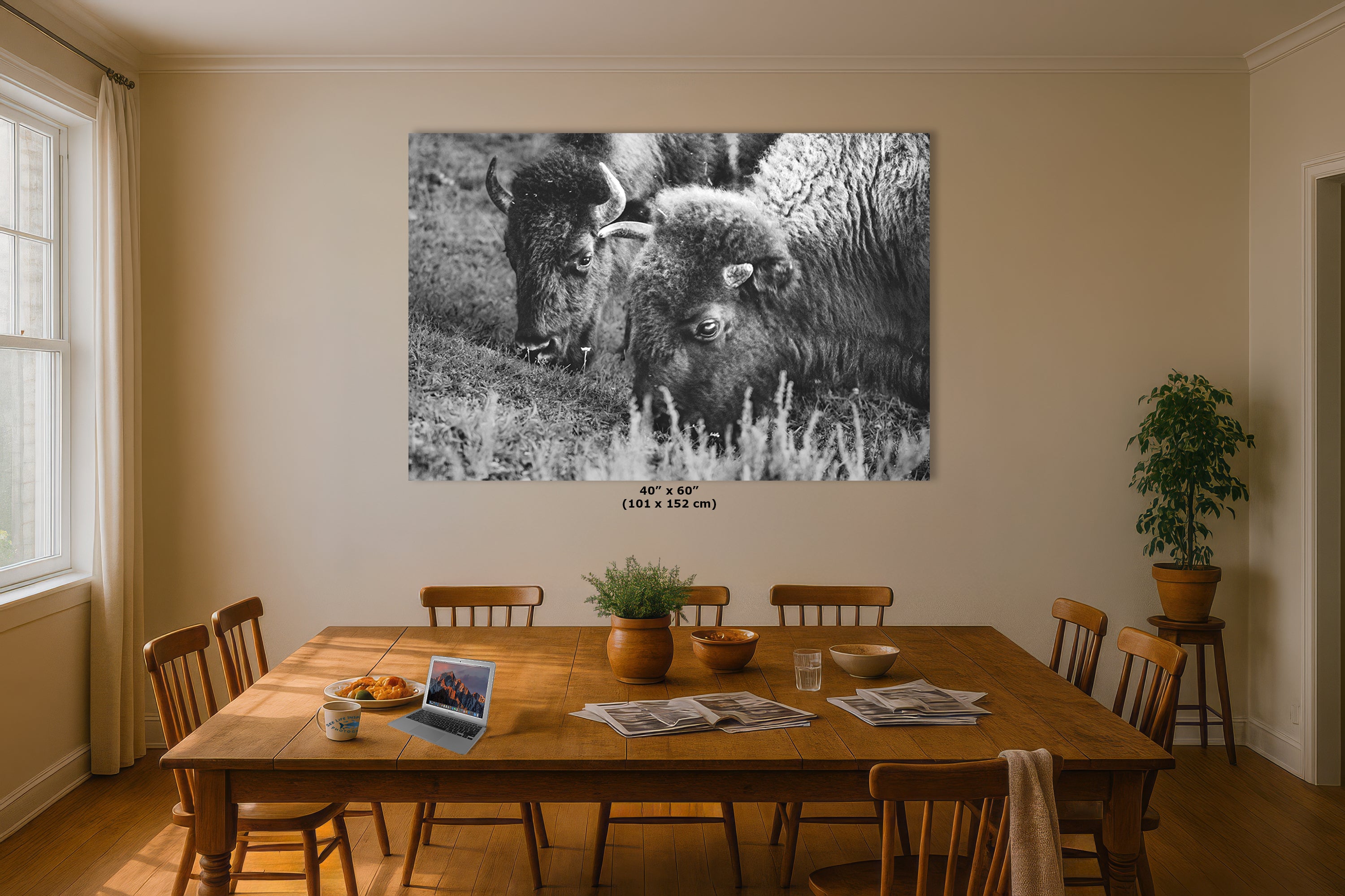 Grazing Buffalo Artwork Wildlife Photography, Black and White Bison Wall Decor, Rustic Cabin Animal Print, Nature Wall Art for Home or Office