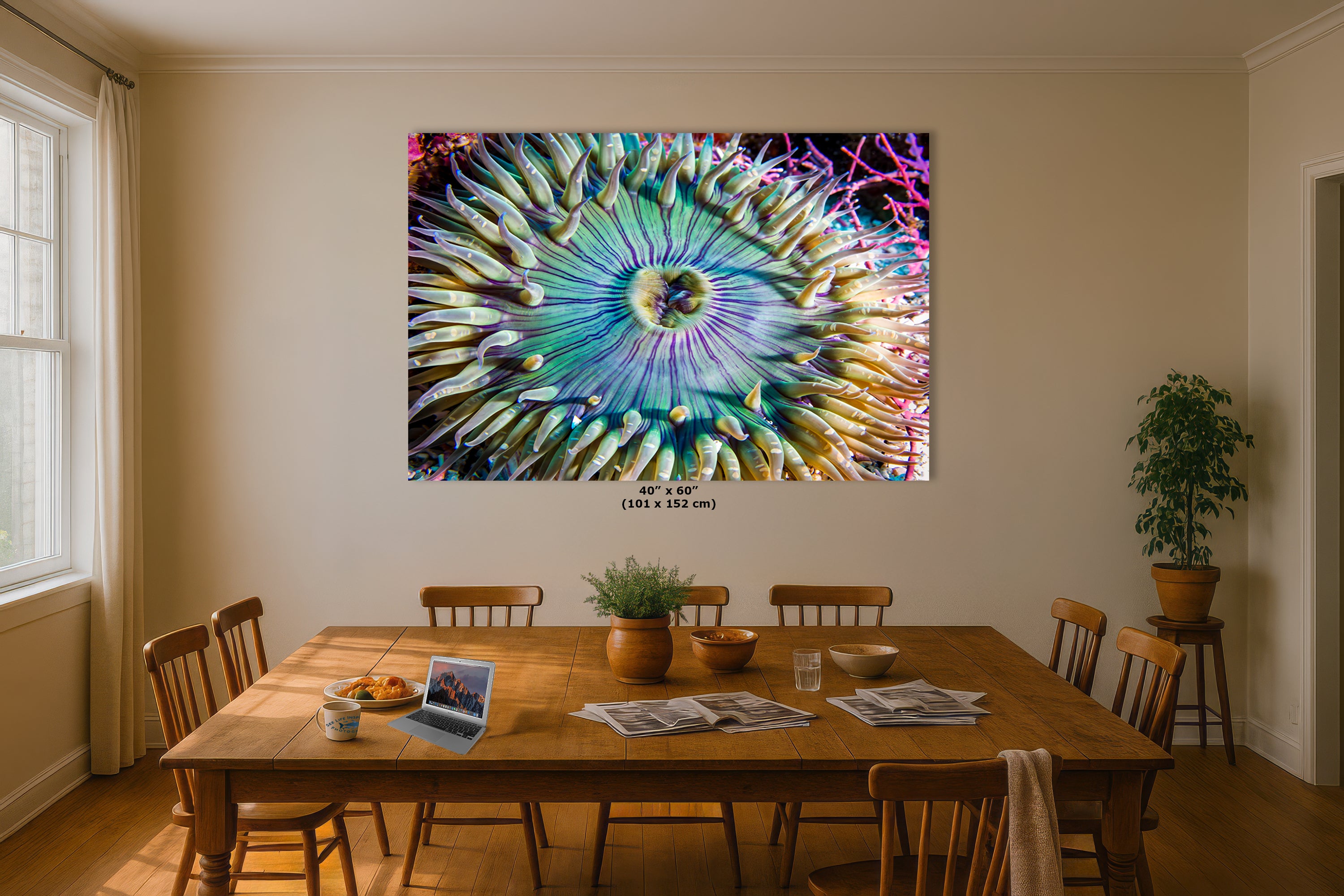 Sea Anemone Picture Ocean Life Underwater Scenery Nature Photo, Marine Biology Coral Reef Art