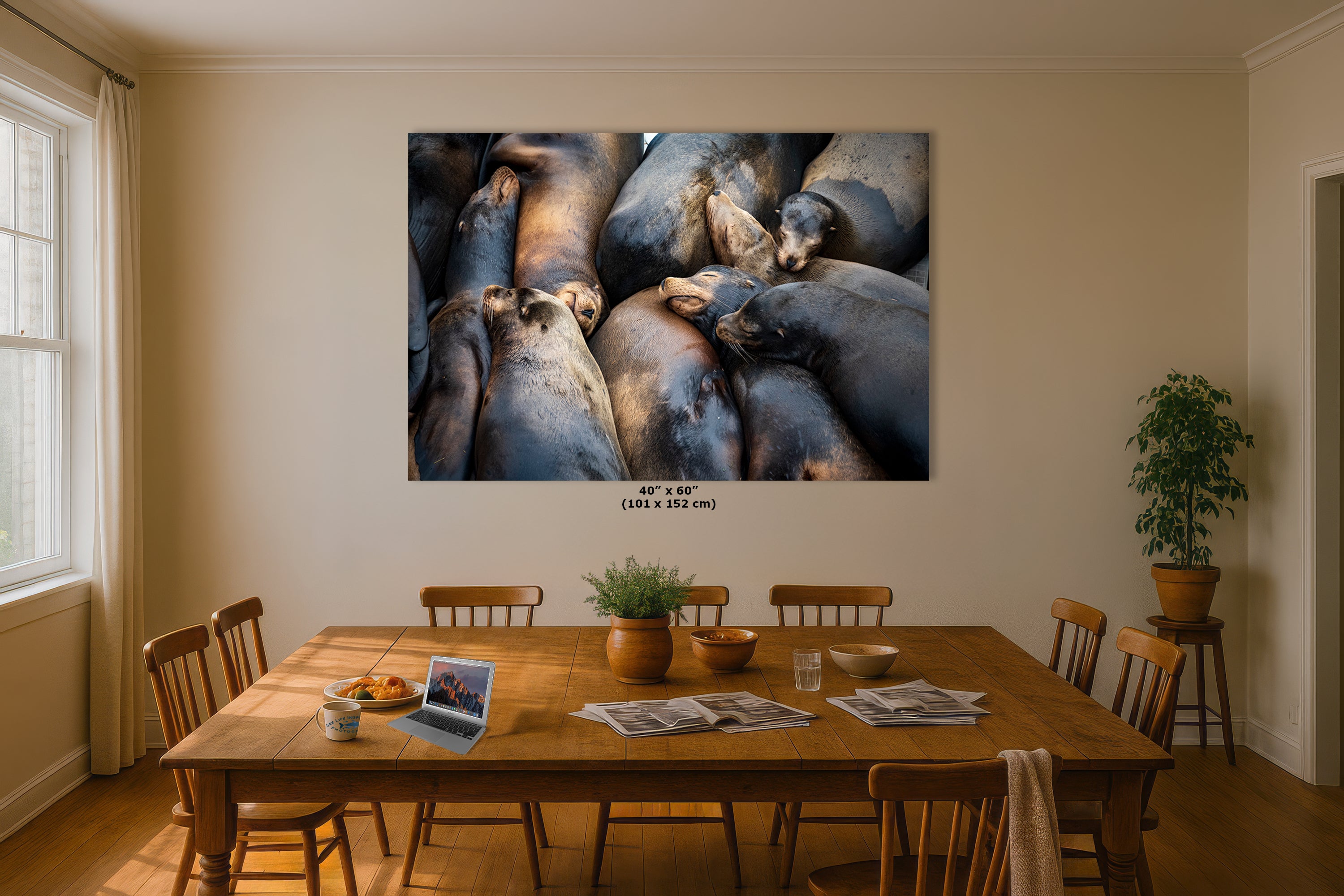 California Sea Lion Marine Mammal Wildlife Photography, Ocean Animals Nursery Decor, Relaxation Artwork for Beach-Themed Rooms