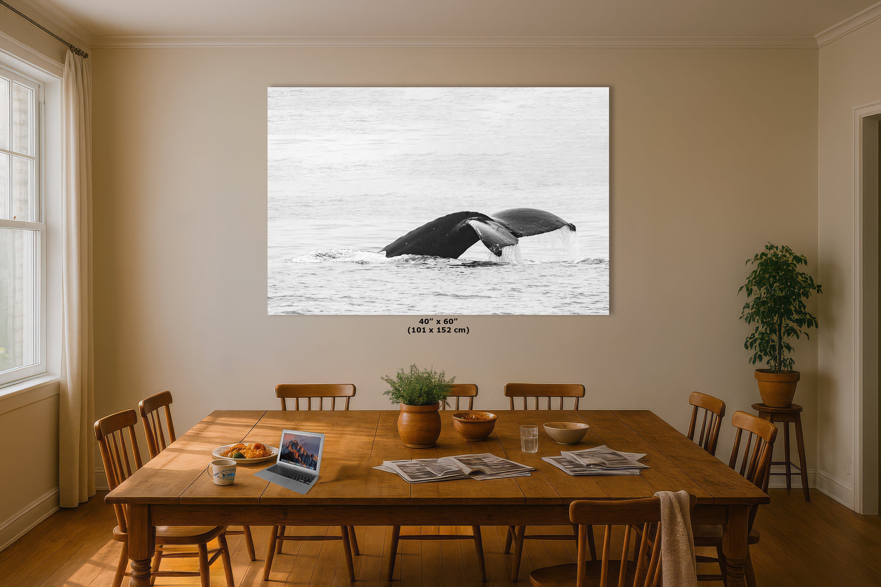 Humpback Whale Marine Mammal Wildlife Photography, Black and White, Monterey Bay Ocean Scene Art Print for Nature Lovers and Marine Conservation Decor