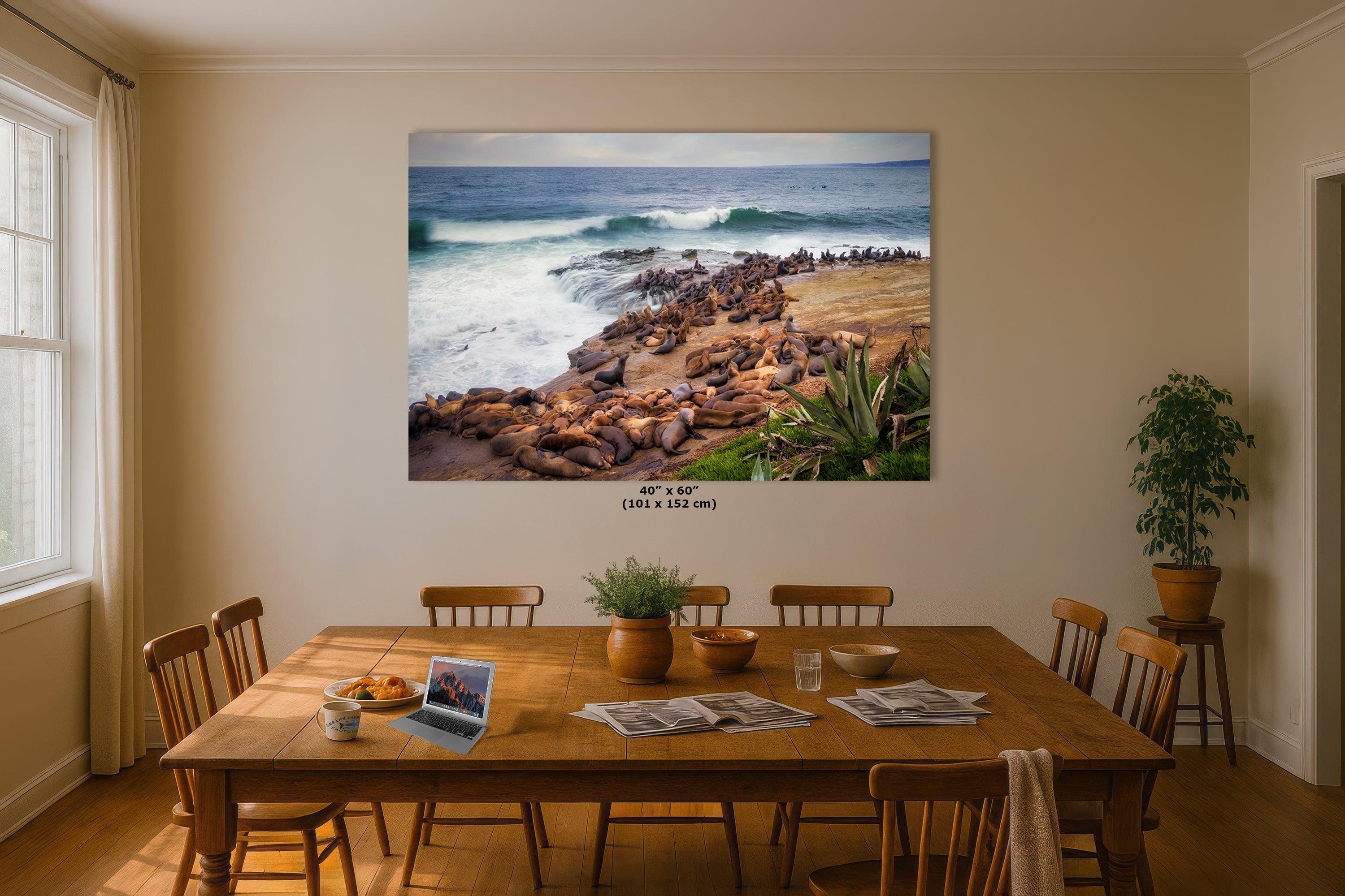 California Sea Lion Marine Mammal Wildlife Photography | Calming Nature Ocean Picture, Relaxation Artwork, La Jolla Coast, Nature Photo