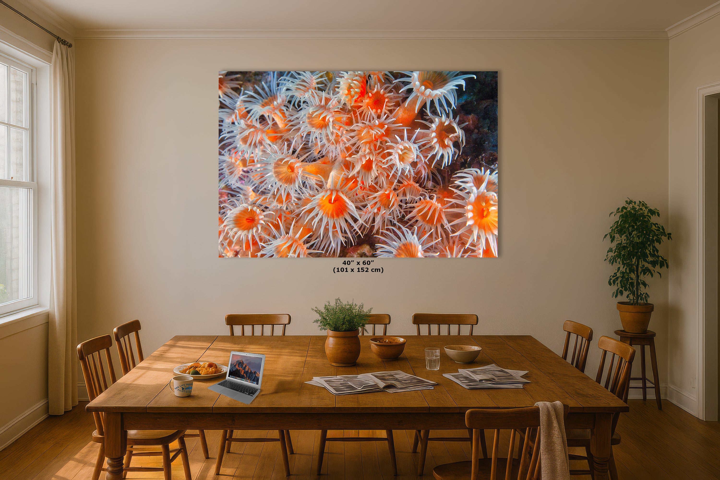 Sea Anemone Picture Ocean Life Underwater Scenery Nature Photo, Vibrant Coral Reef Wall Art, Marine Biology Gift for Ocean Lover