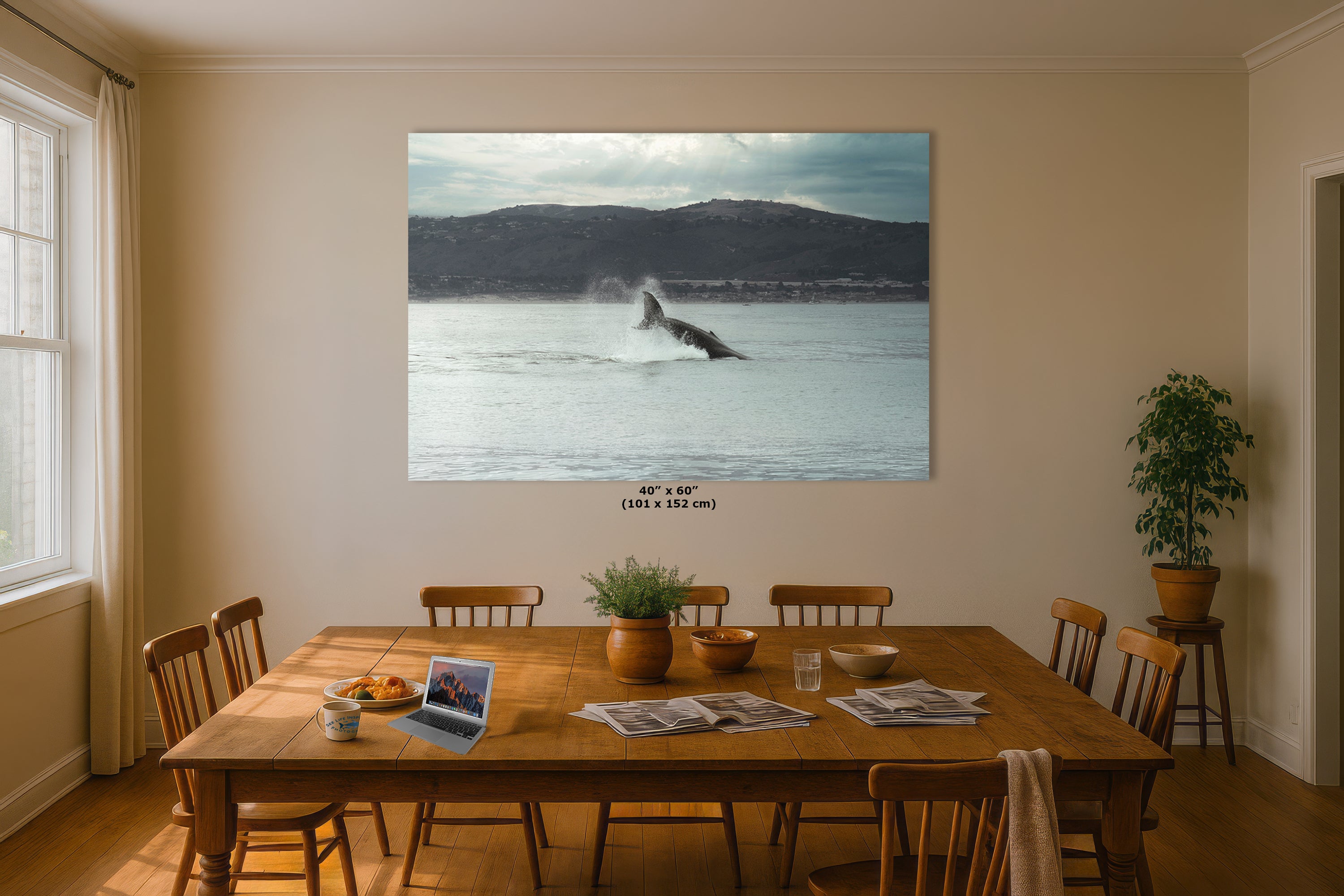 Humpback Whale Marine Mammal Wildlife Photography, Ocean Nature Art, Marine Conservation, Dolphin & Sea Life Gift, House Decor