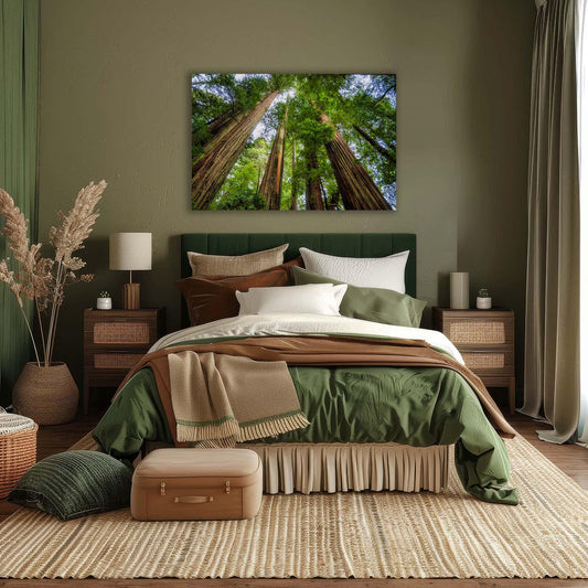 Redwood Trees Forest Picture Nature Photo | Forest Bathing Relaxation Decor for Meditation, House, and Office