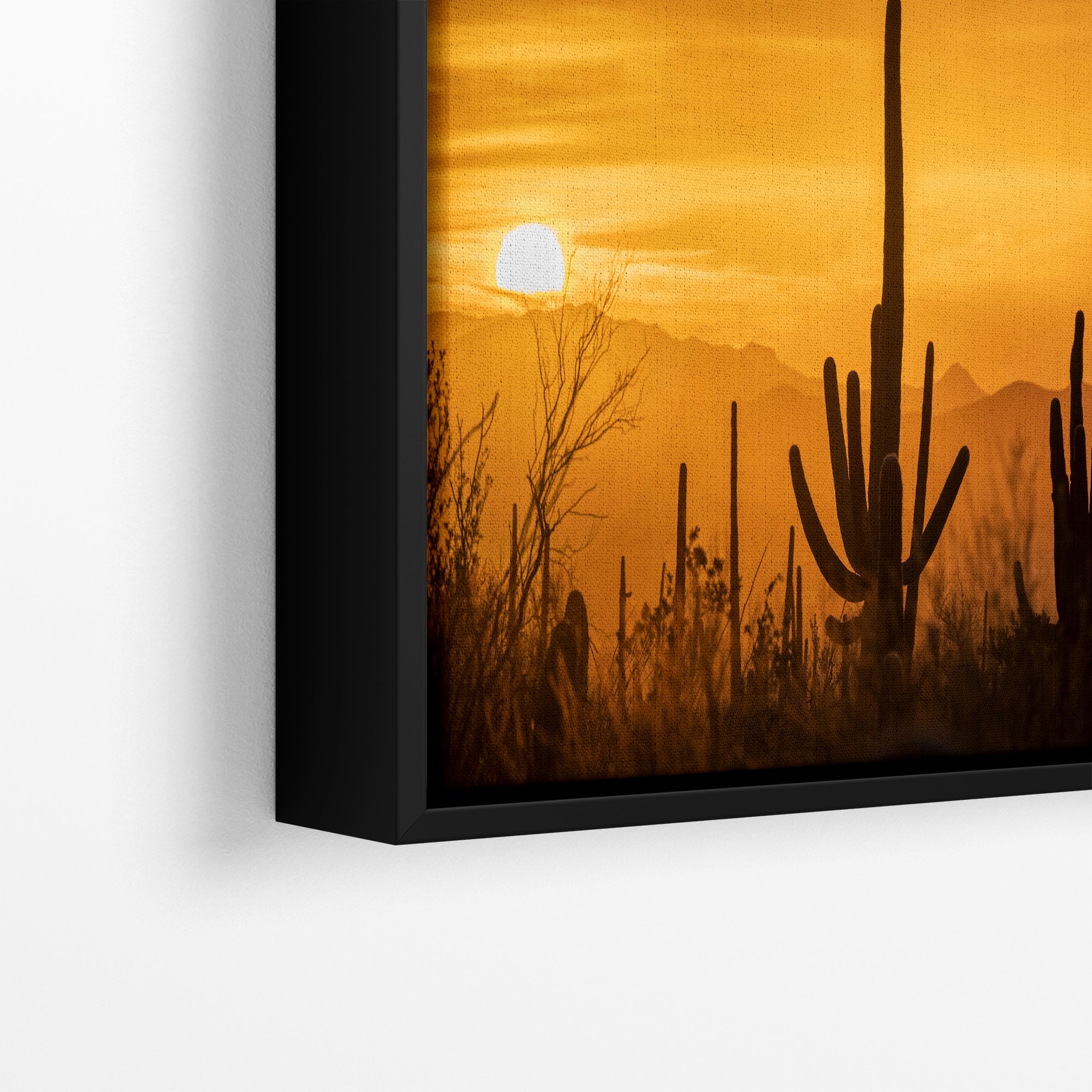 Saguaro National Park Arizona Desert Picture Nature Photo Silhouette, Bohemian Style Relaxation Artwork, Southwestern Sonoran Desert House Decor
