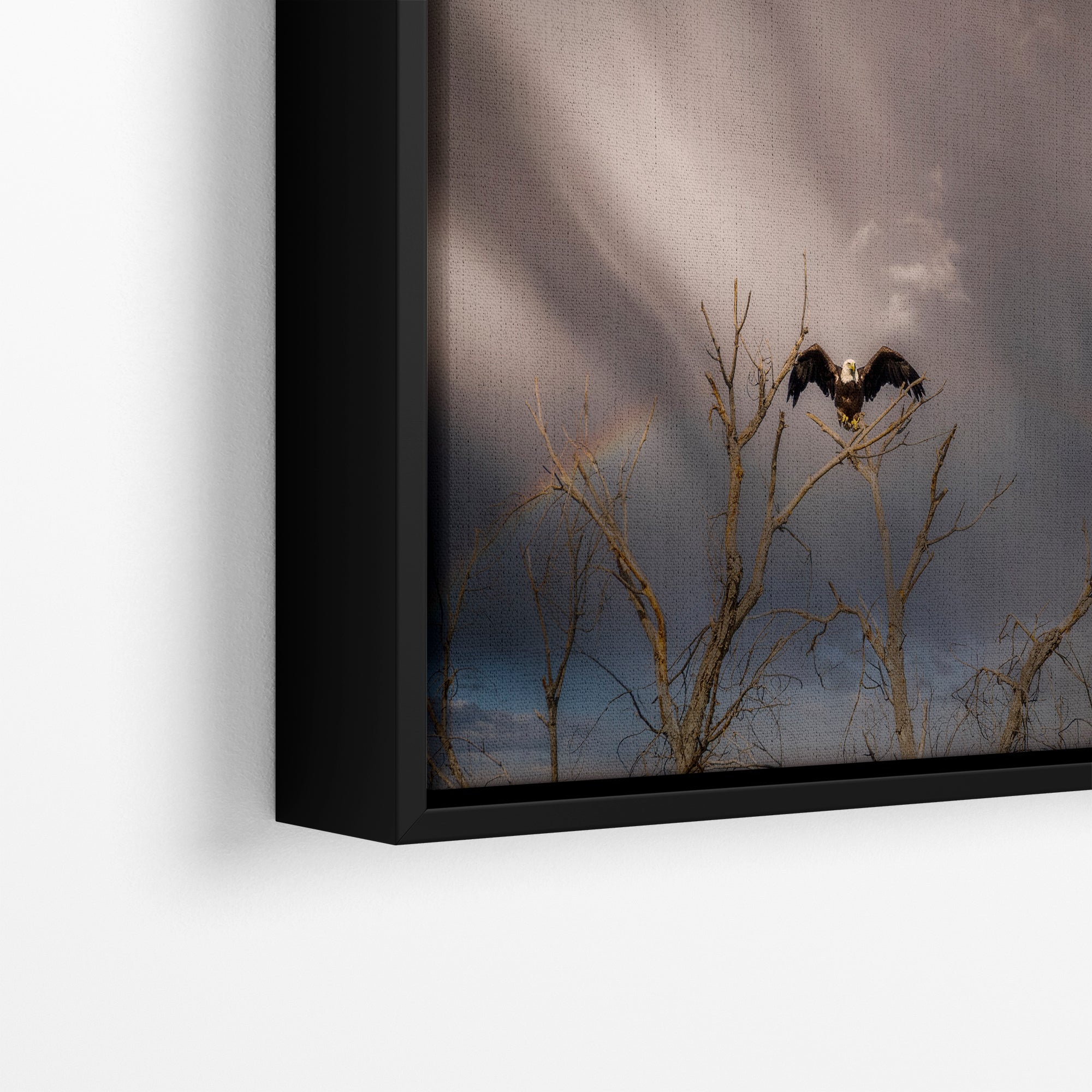 Bald Eagle Picture Wildlife Photography Wall Art, Nature Photo, Bird Photography, Rustic Cabin Decor, Office or Dorm Room Wall Decor