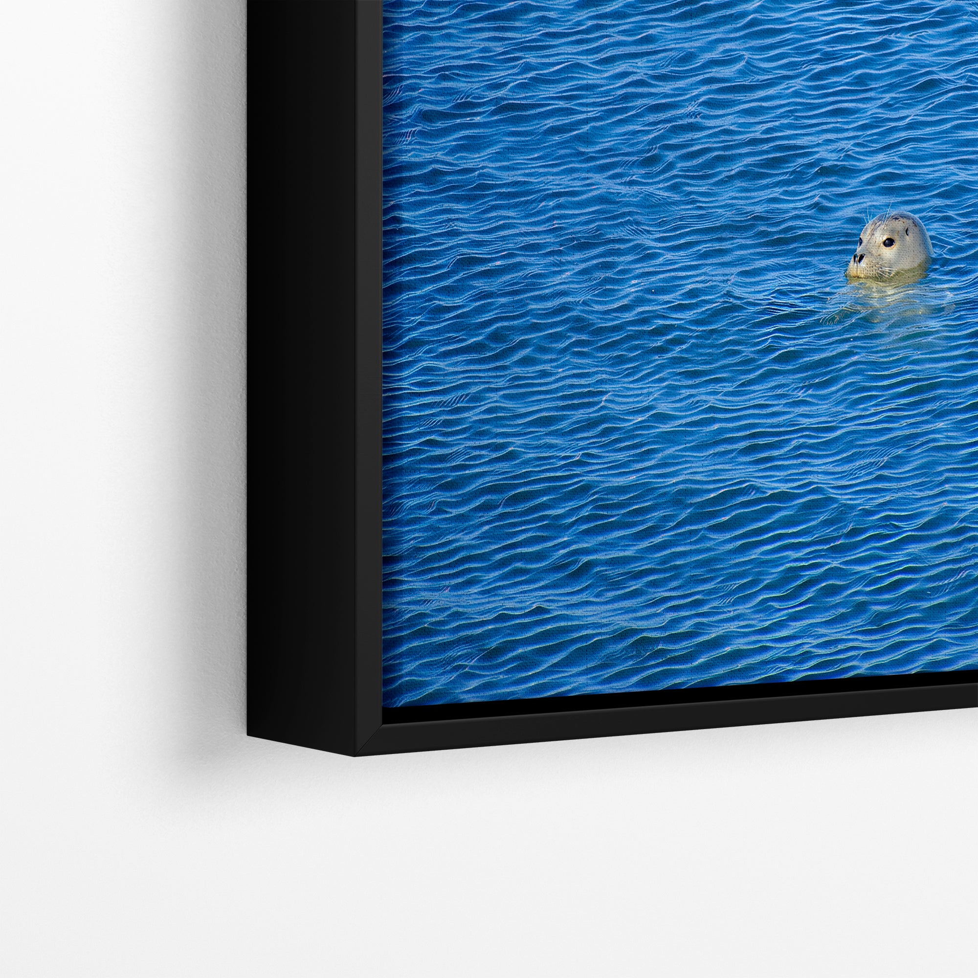 Seal Print Marine Mammal Wildlife Photography, Ocean Picture Relaxation Artwork Nature Photo