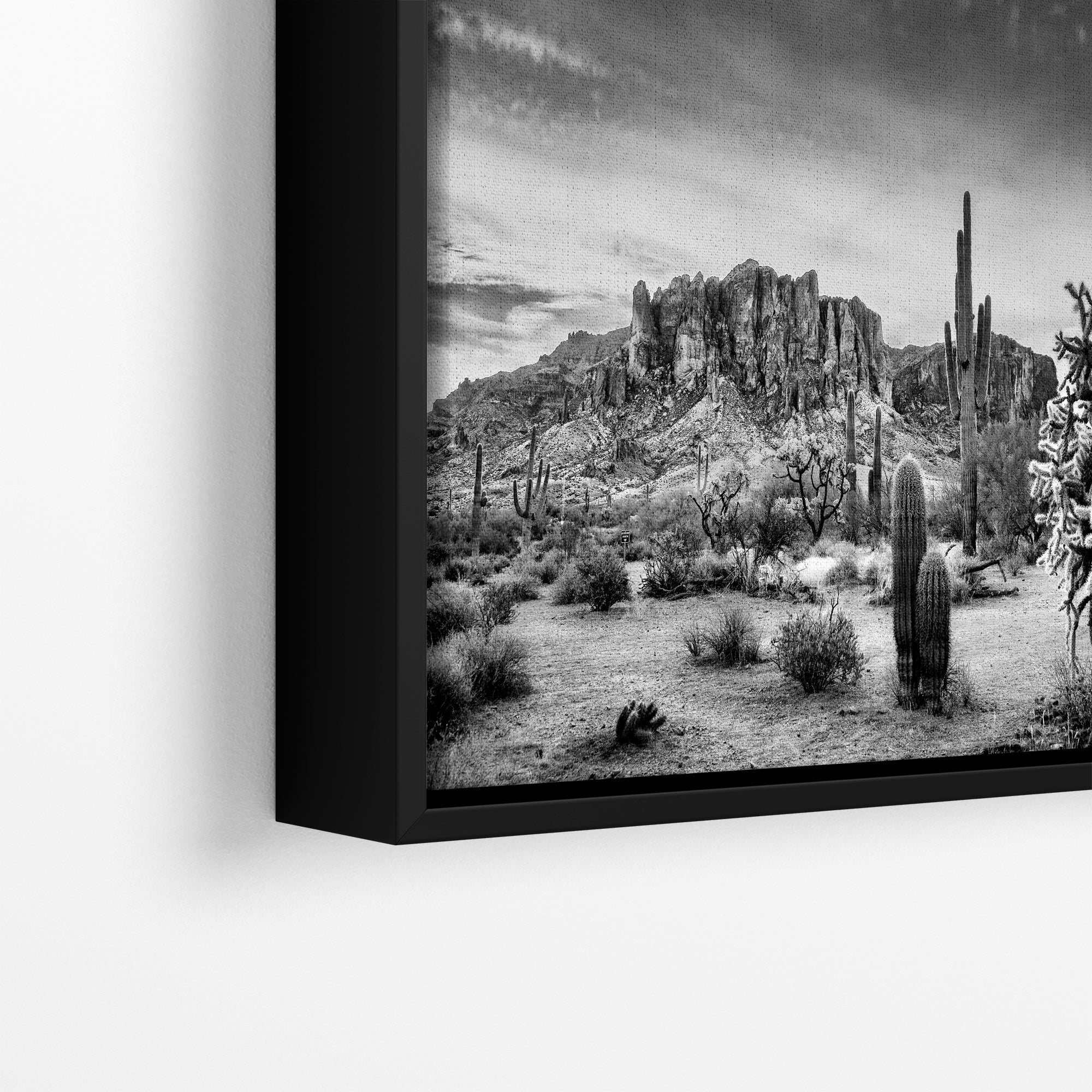 Arizona Desert Picture in Black and White, Saguaro Cactus Artwork Nature Photo, Southwestern Wall Art of Superstition Mountains at Lost Dutchman State Park