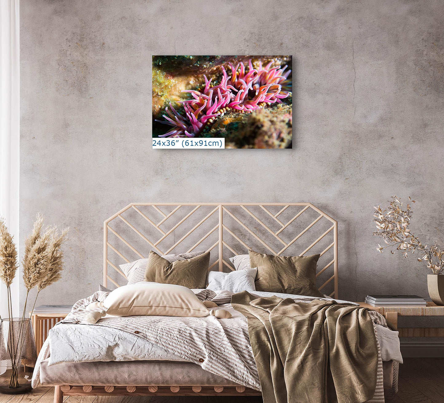 Sea Anemone Picture Ocean Life Underwater Scenery Nature Photo, Marine Biology Coral Reef Art, Vibrant Marine Wildlife Wall Decor