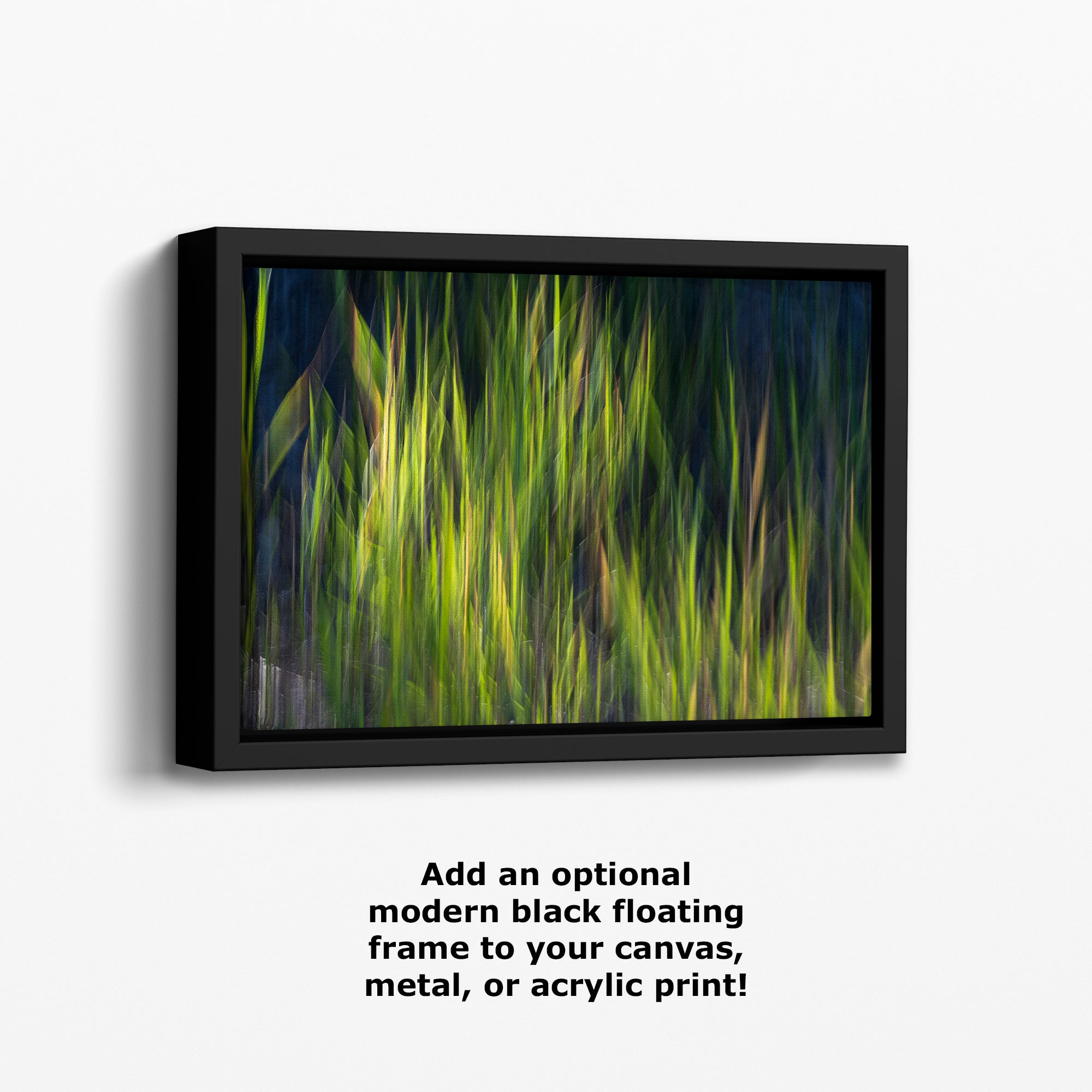 Sage Green Abstract Art Nature Photo