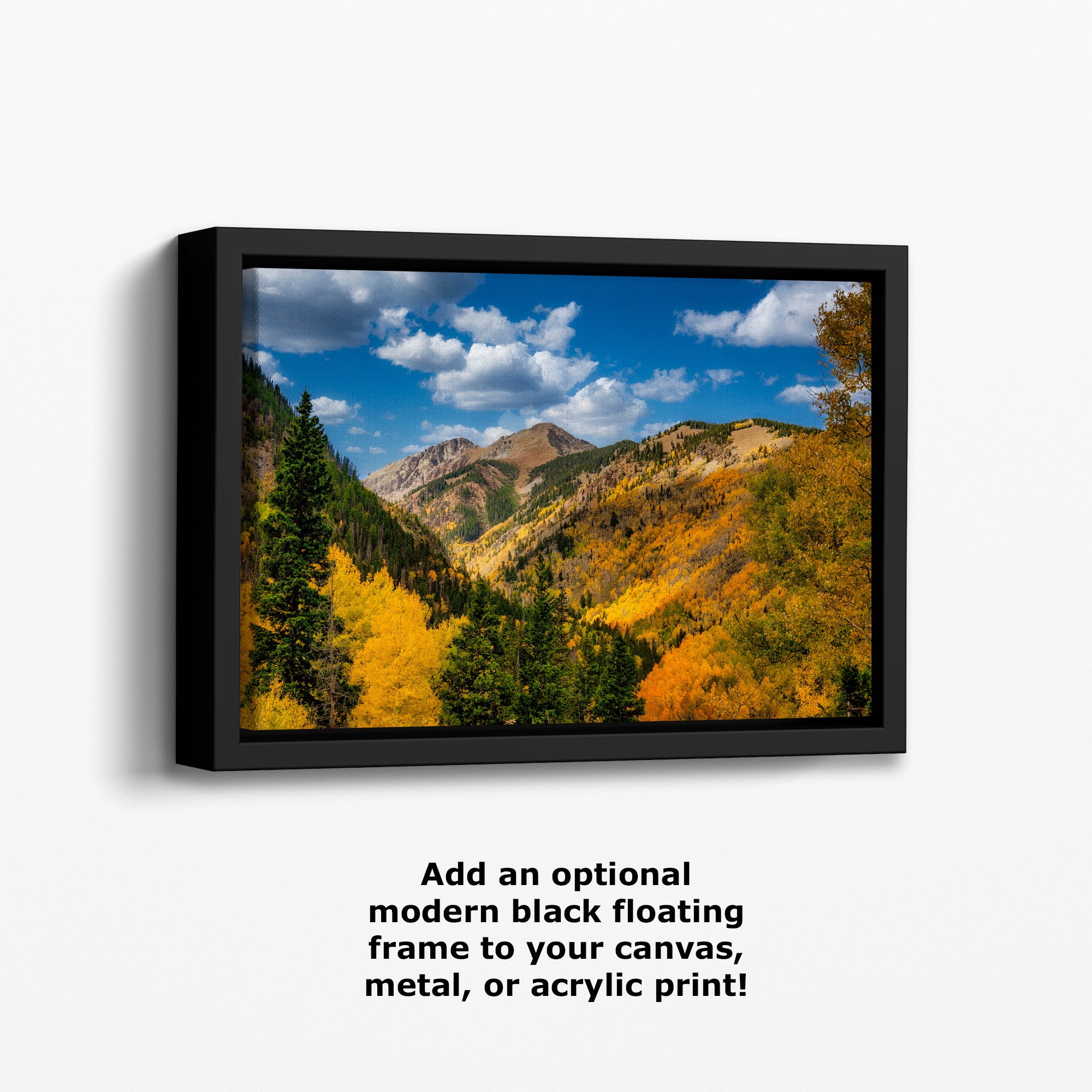 Colorado San Juan Mountains Picture, Fall Colors Nature Photo of Aspen Trees for Relaxation Meditation and Home Decor