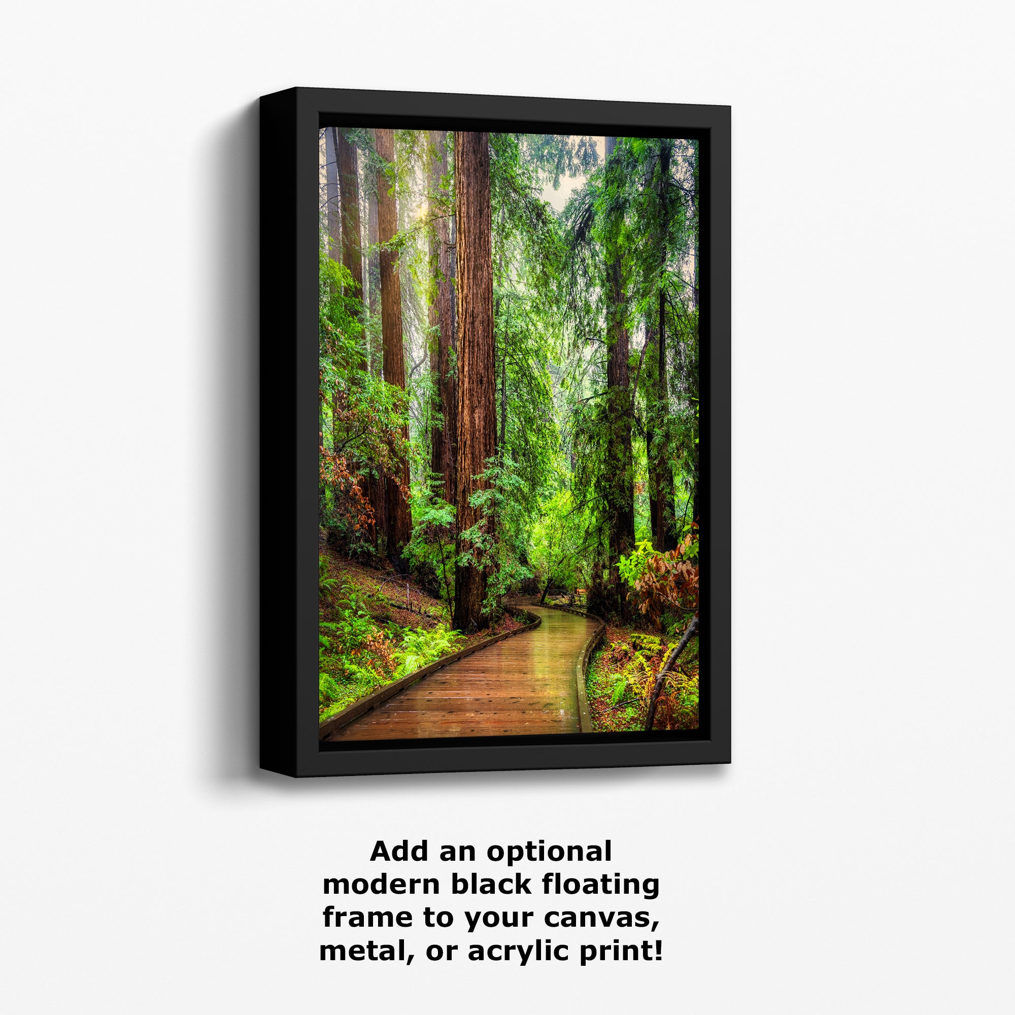 Redwood Trees Forest Picture Sunrise Nature Photo, Forest Bathing House Decor, Relaxing Wall Art for Meditation, Home and Office