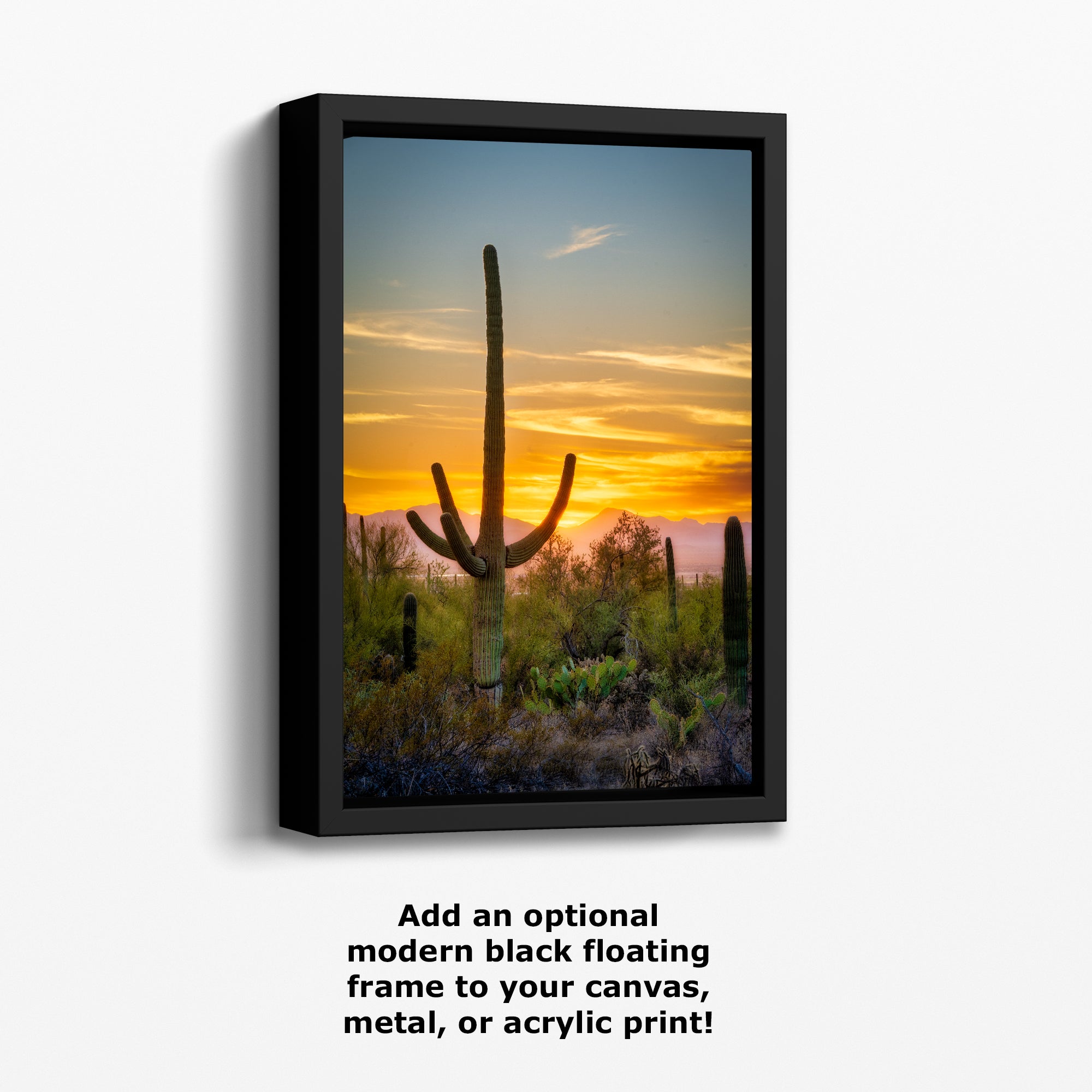 Saguaro National Park Arizona Desert Picture Nature Photo, Bohemian Style Relaxation Artwork, Southwestern Sonoran Desert House Decor