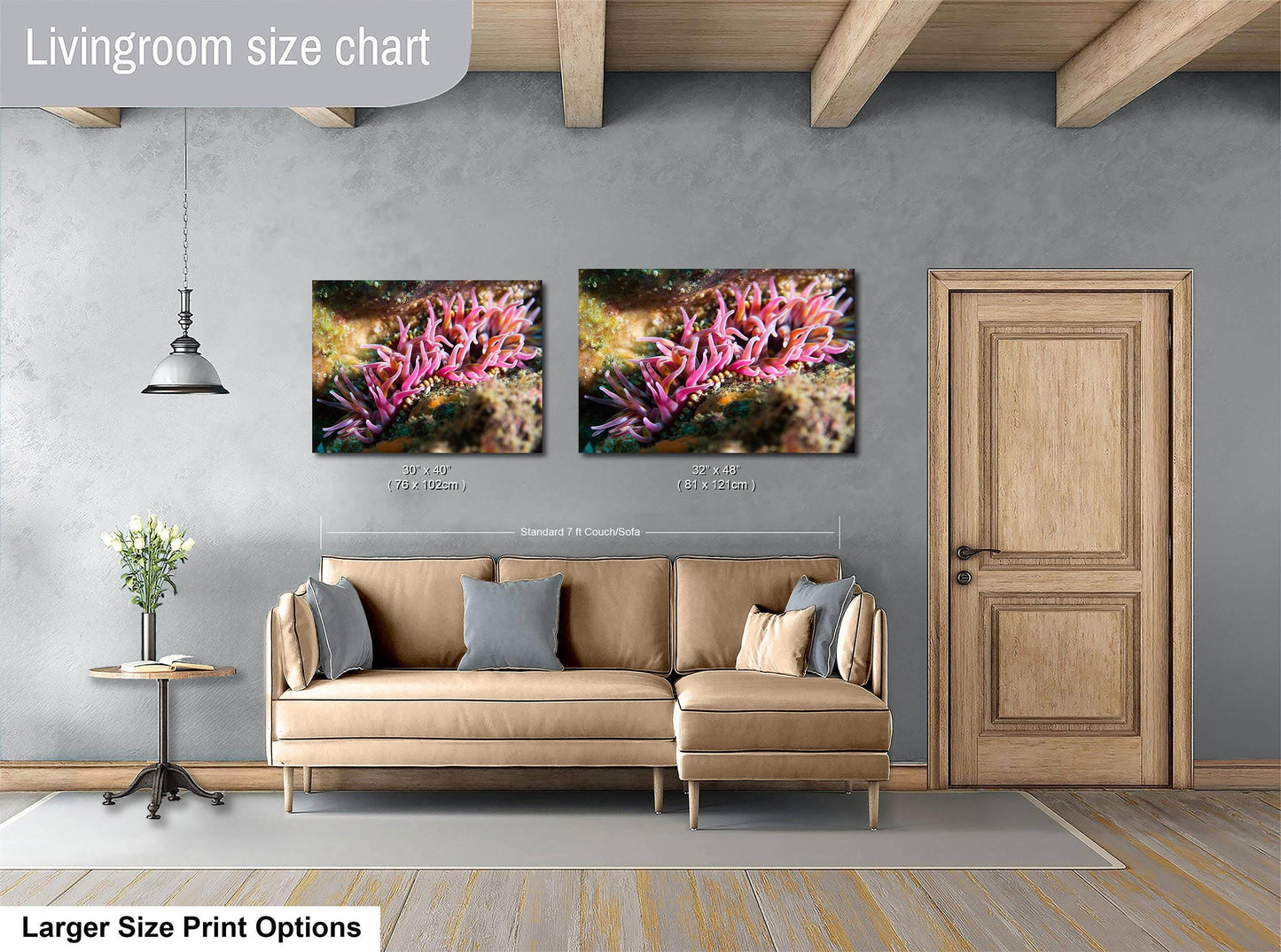 Sea Anemone Picture Ocean Life Underwater Scenery Nature Photo, Marine Biology Coral Reef Art, Vibrant Marine Wildlife Wall Decor