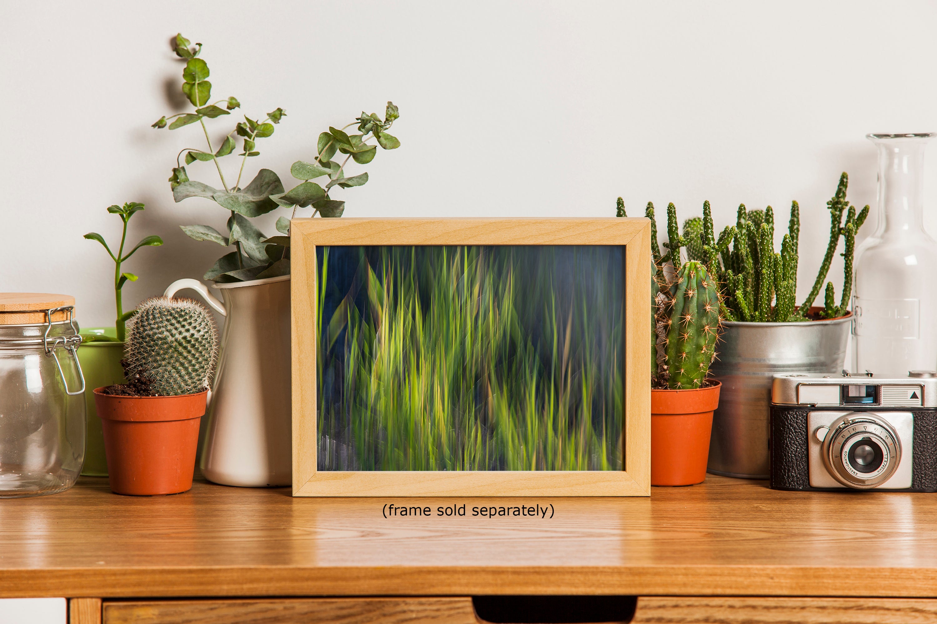 Sage Green Abstract Art Nature Photo