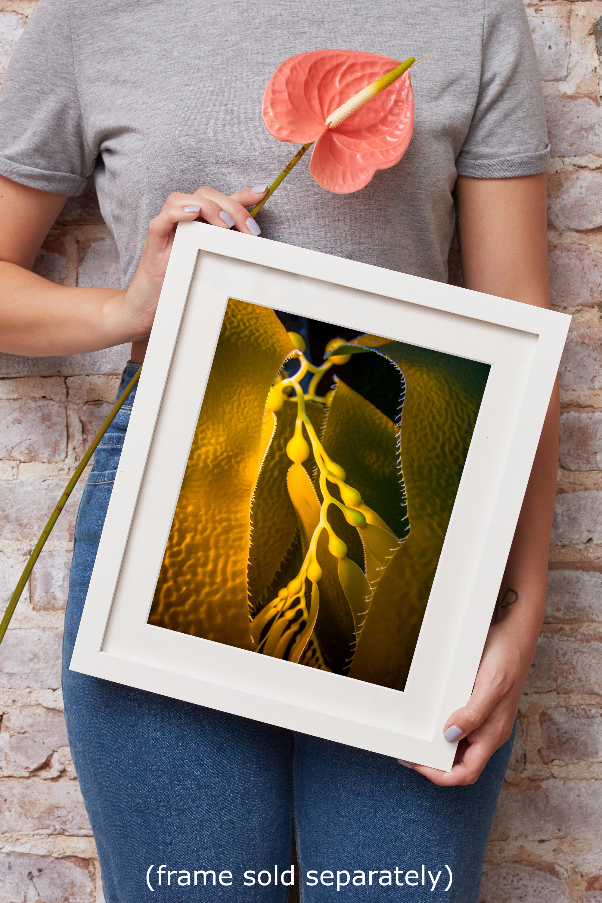 Kelp Forest Seaweed Pictures Underwater Scenery, Ocean Life Marine Life Decor, Nature Photo, Under the Sea Wall Art, Marine Biology Gift