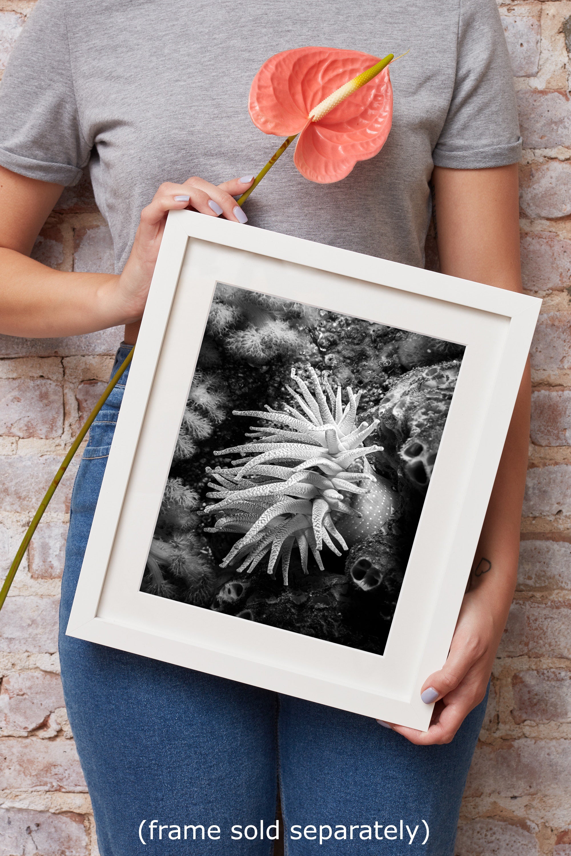 Sea Anemone Picture Ocean Life Underwater Scenery Nature Photo Black and White Art for Marine Biology, Ocean Lovers, and Relaxation Decor