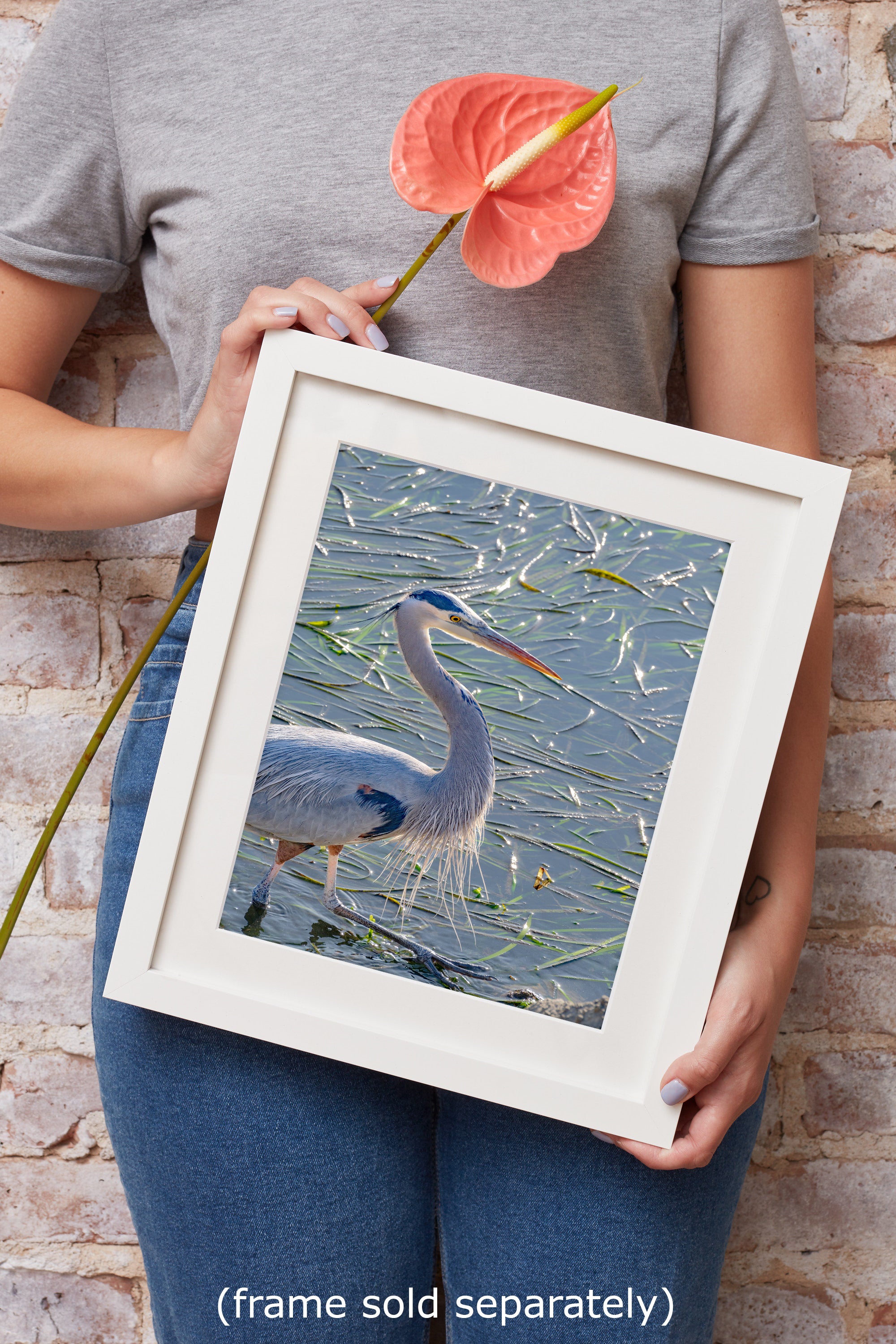 Great Blue Heron Art Wildlife Photography, Nature Wall Decor for Bird Lovers, Ocean Conservation, Relaxing Office or Room Artwork