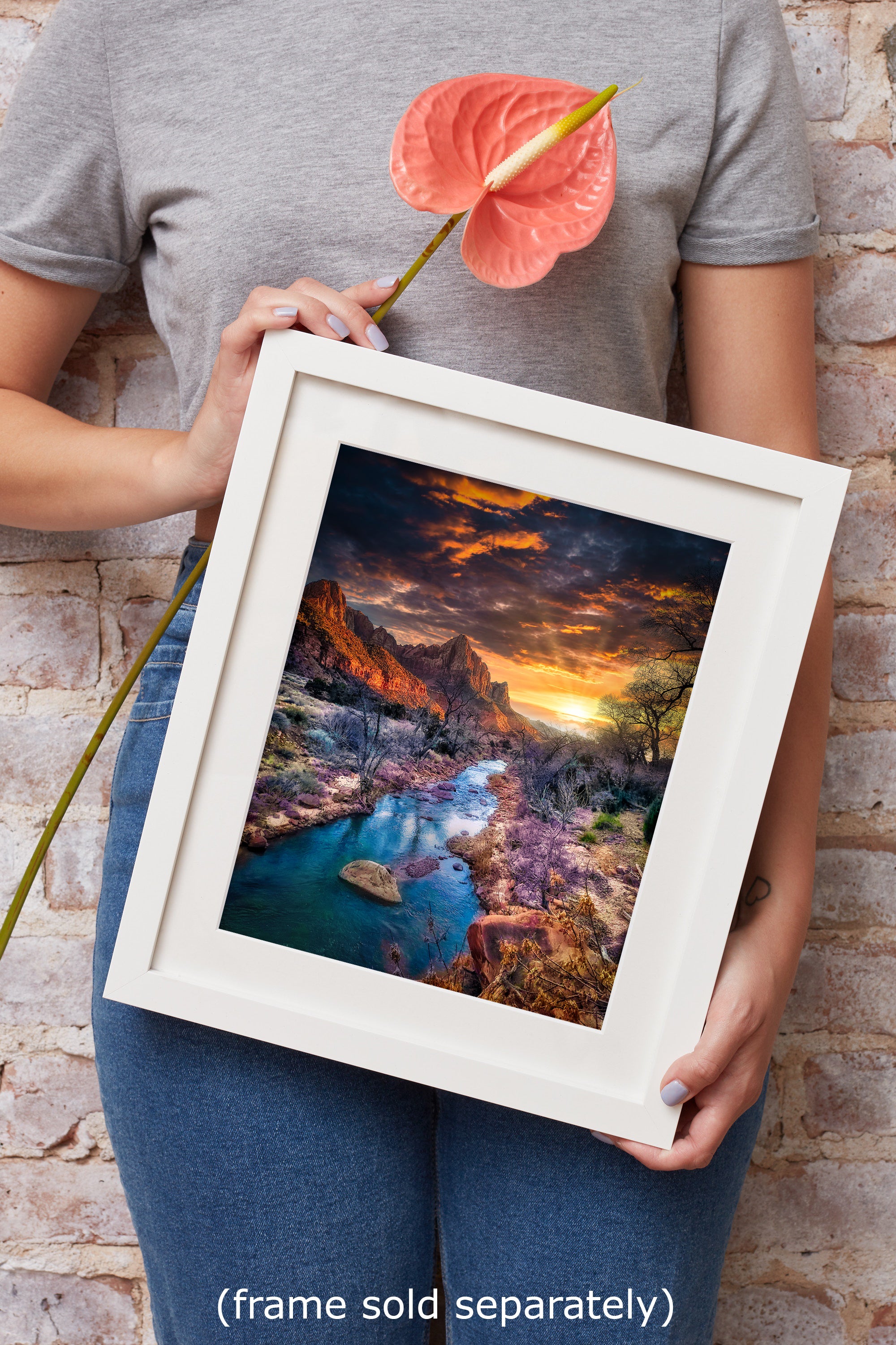 Zion National Park, Watchman, Southern Utah Desert Picture, Southwestern Wall Art, Relaxation Artwork Nature Photo for House Decor