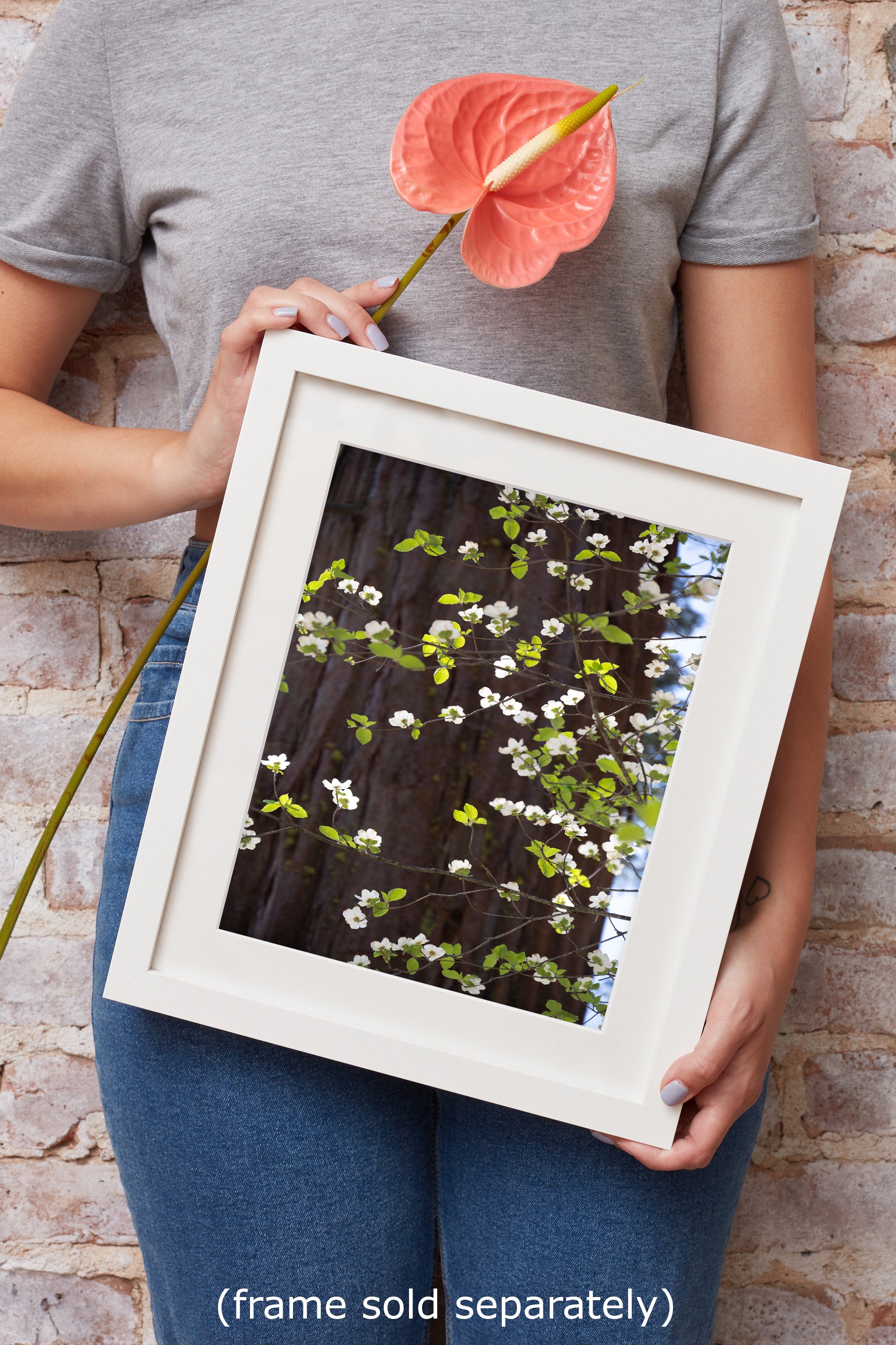 Pacific Dogwood Forest Picture Nature Photo | Yosemite Nature Canvas Print, Forest Bathing for Meditation, Relaxation, Dorm Room Decor