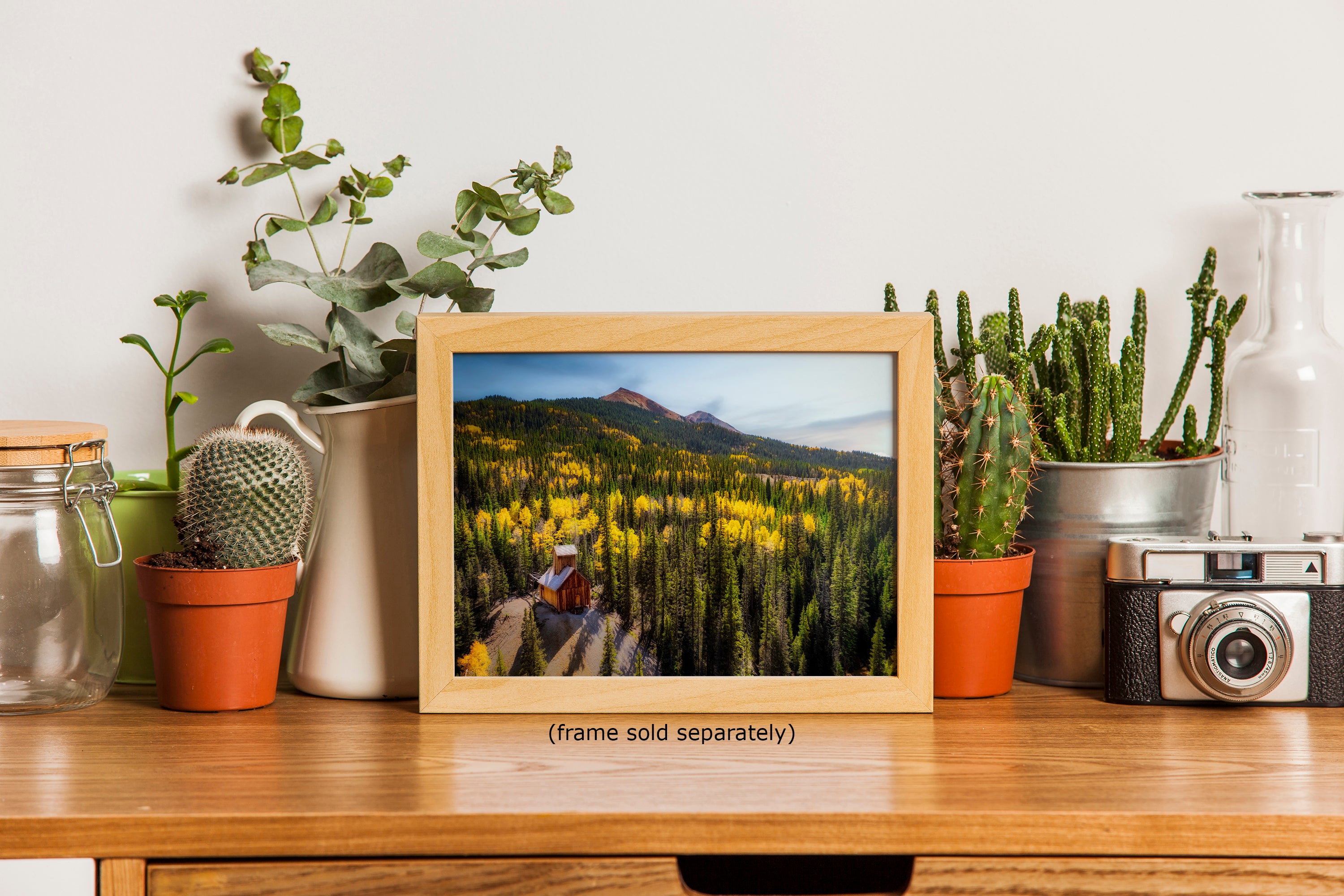 Colorado Boy Mine, San Juan Mountain Picture, Fall Colors Aspen Trees Forest Picture Nature Photo for Relaxation Artwork, Meditation and House Decor